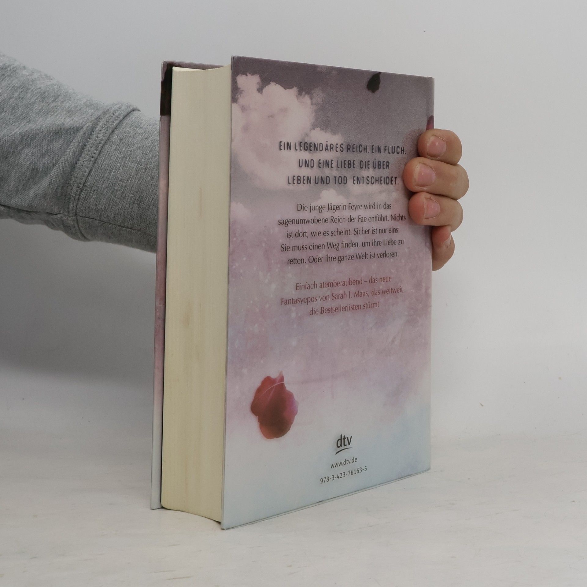 Sarah J. Maas Das Reich der sieben Hofe. Dornen und Rosen