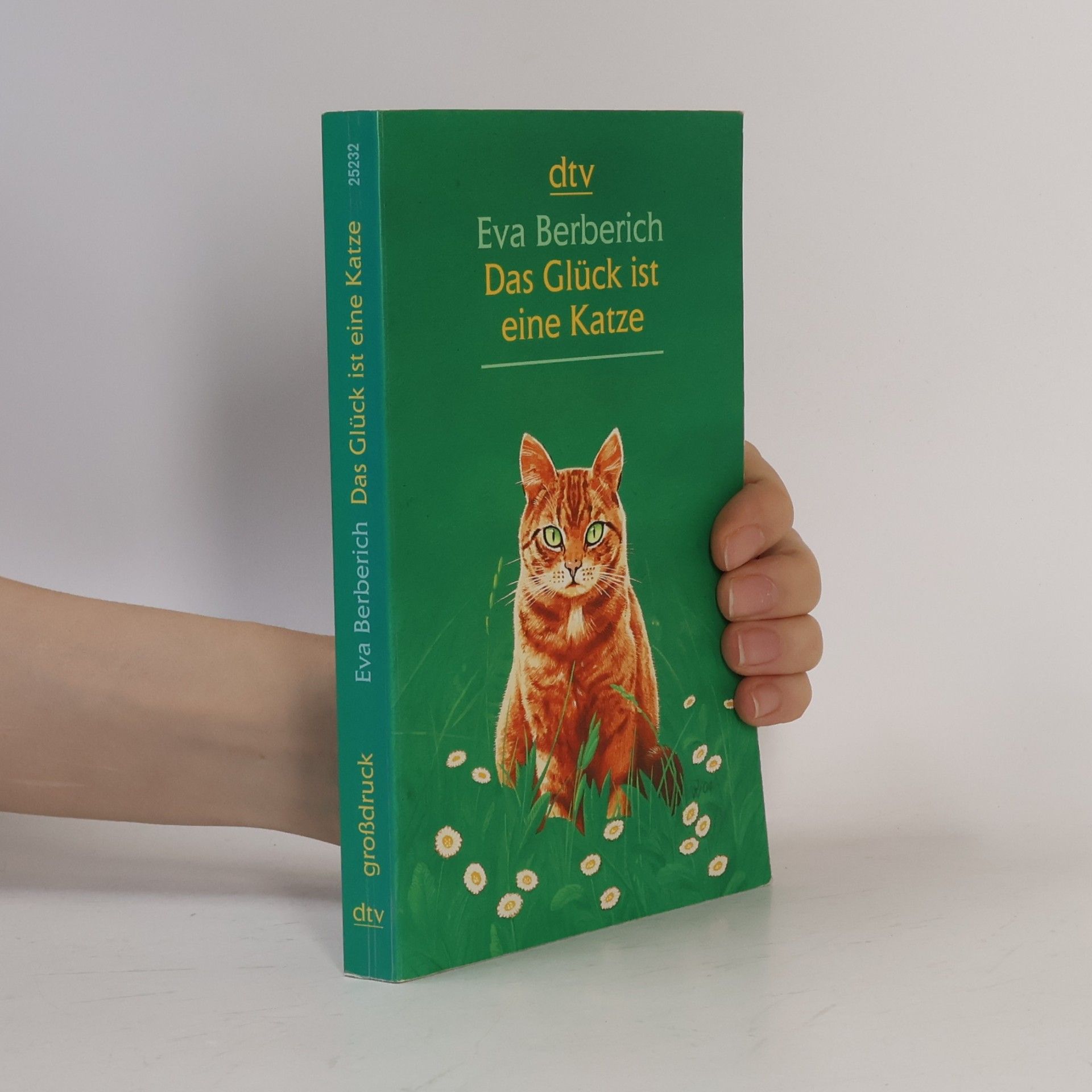 Eva Berberich Das Glück ist eine Katze