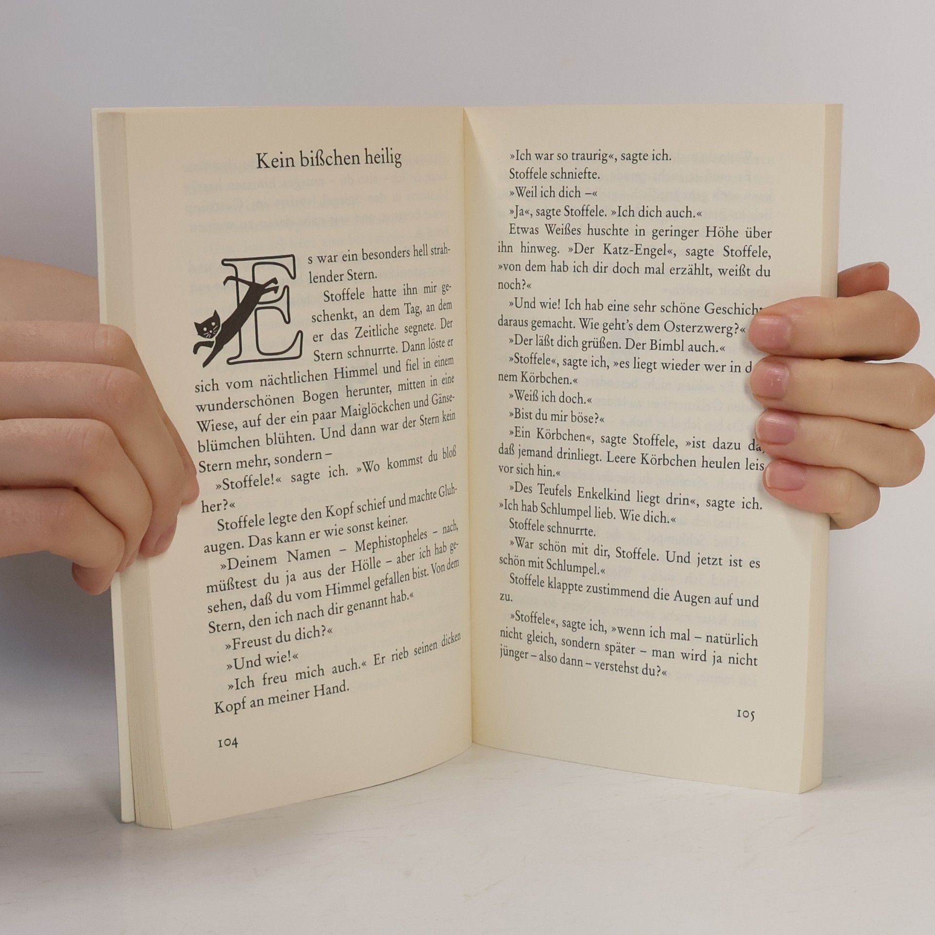 Eva Berberich Das Glück ist eine Katze