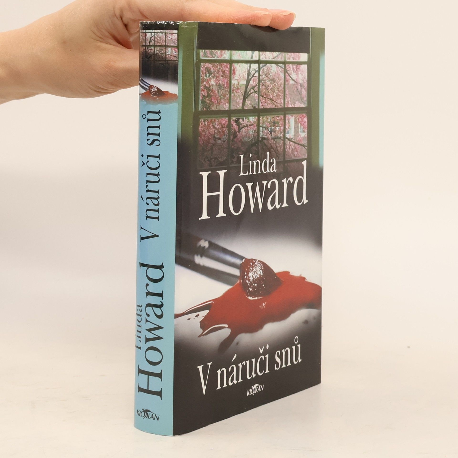 Linda Howard V náruči snů