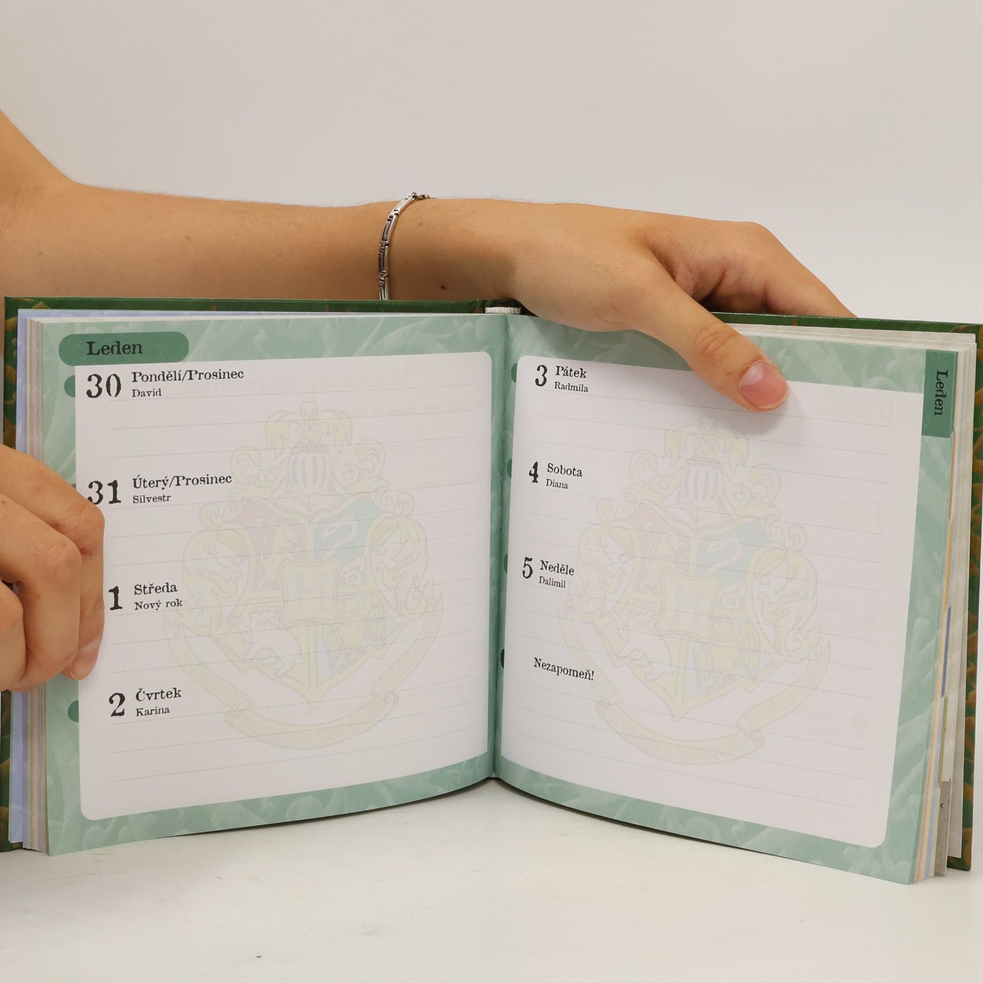 Kolektiv autorů Harry Potter a Kámen mudrců: Školní diář 2002/2003