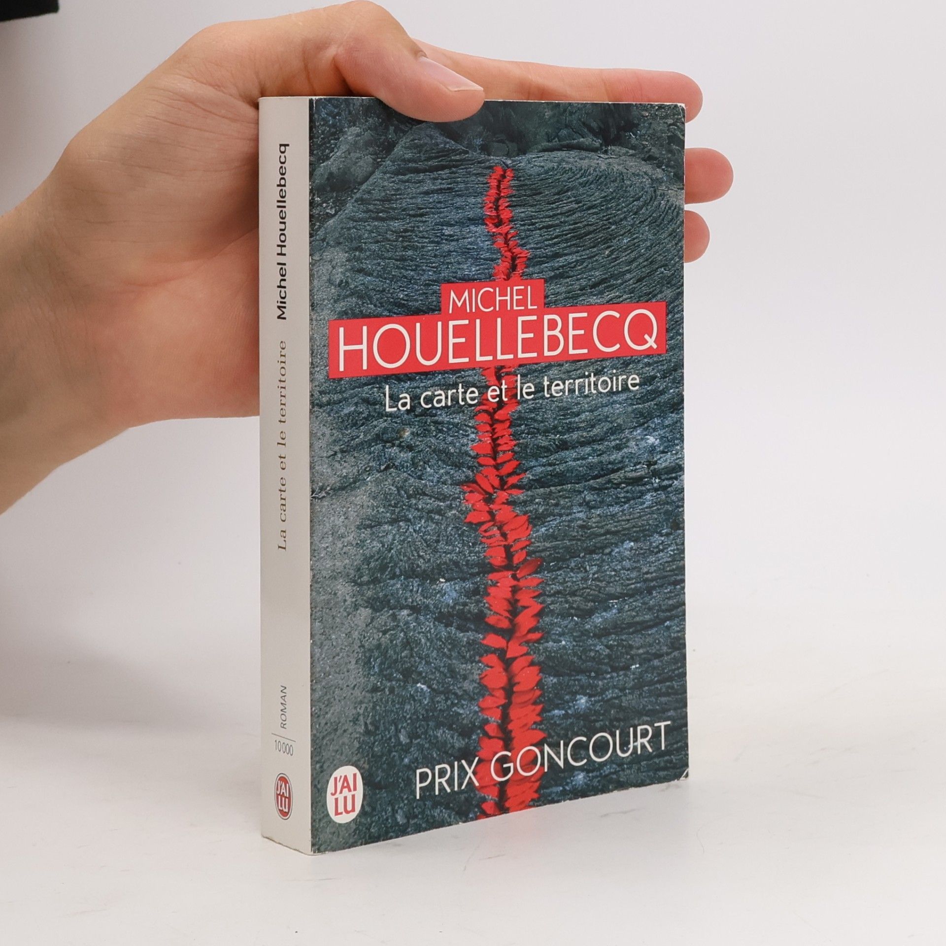Michel Houellebecq La carte et le territoire: Roman