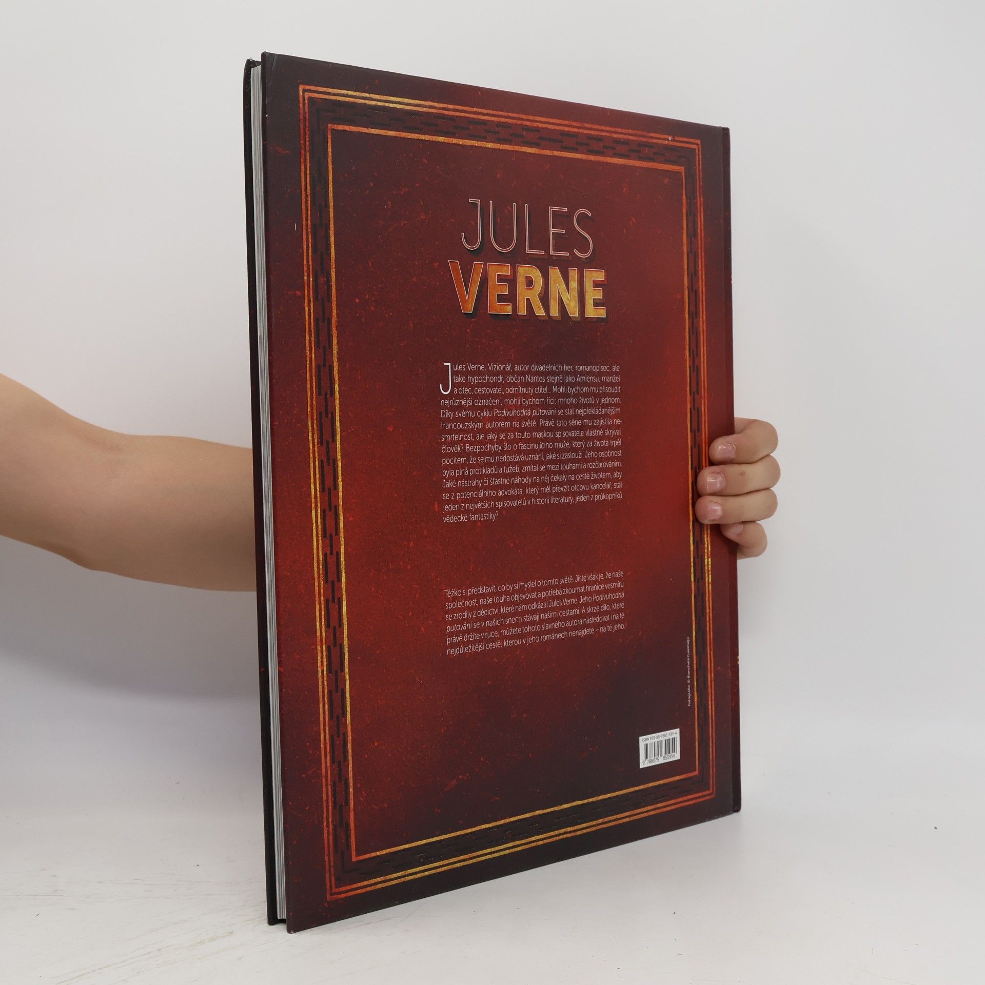 Rémi Guerin Jules Verne: závěť výstředníka