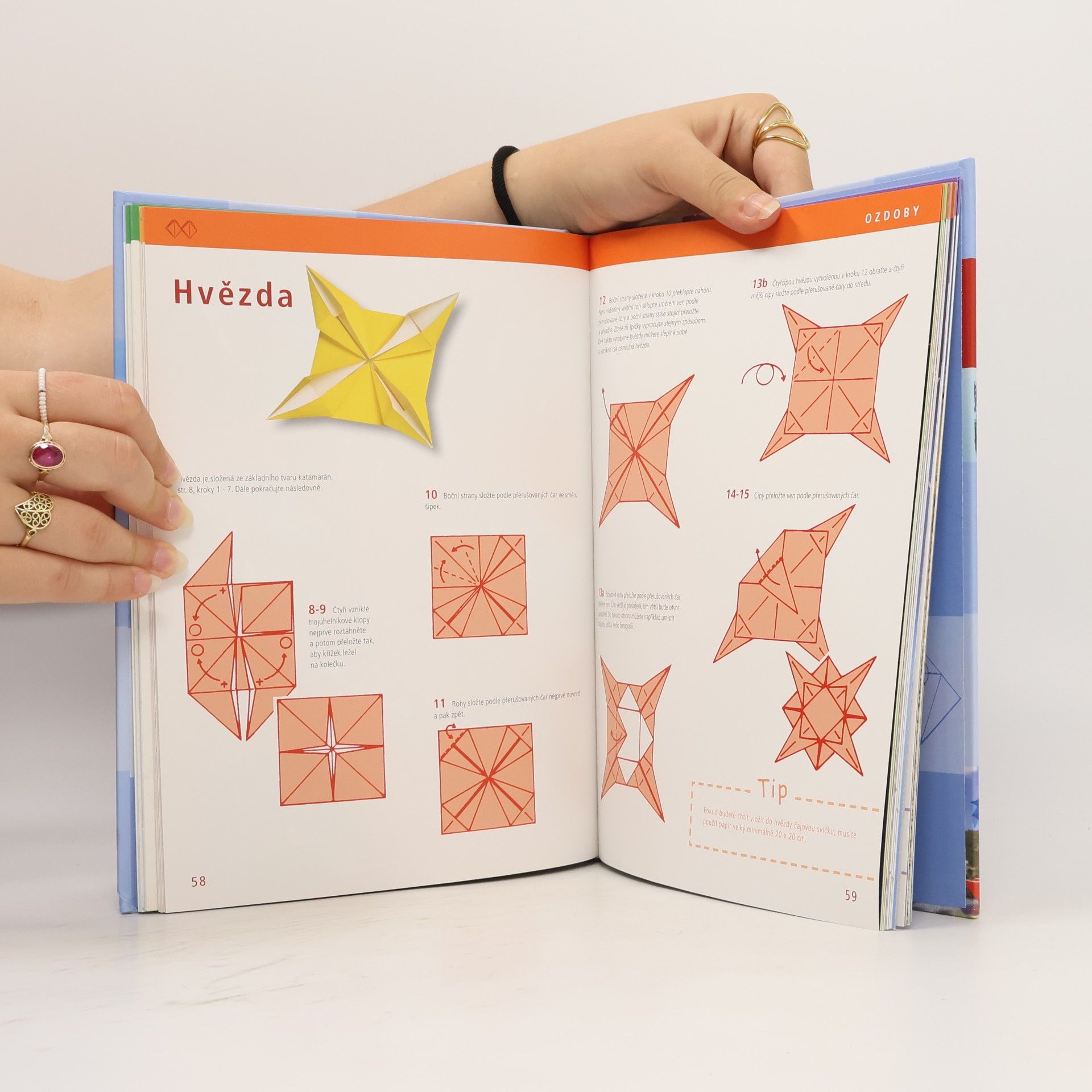 Armin Täubner Origami pro každého : od jednoduchých po náročnější