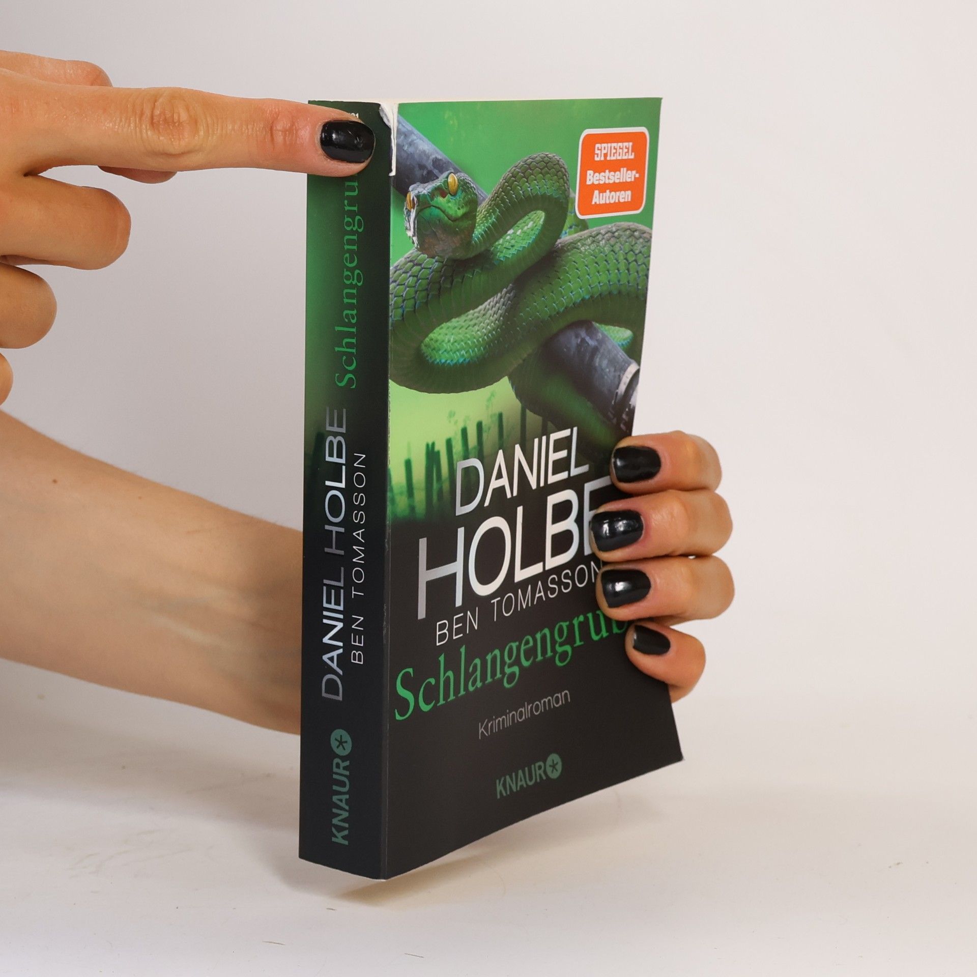 Daniel Holbe Schlangengrube