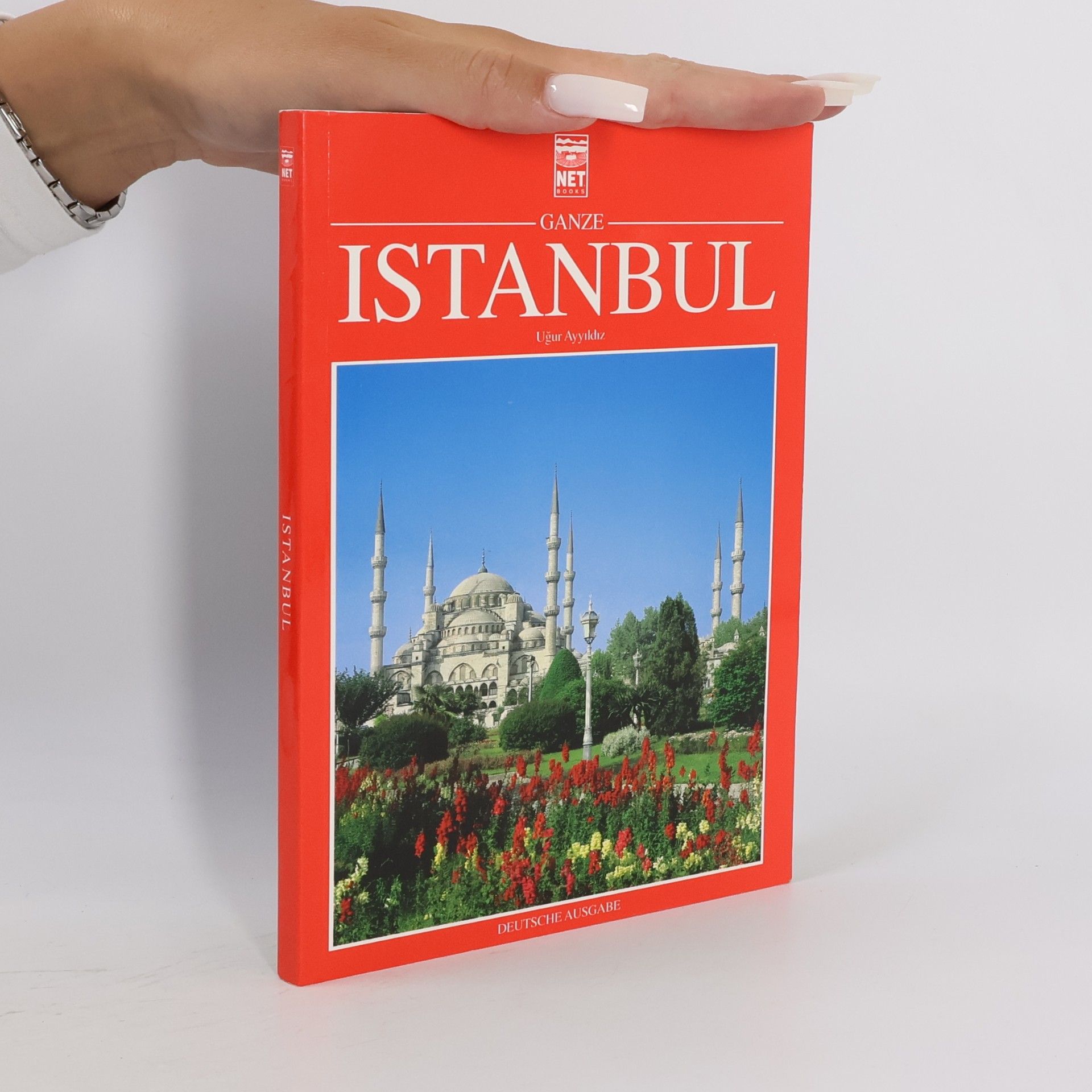 Uğur Ayyıldız Großstadt Istanbul