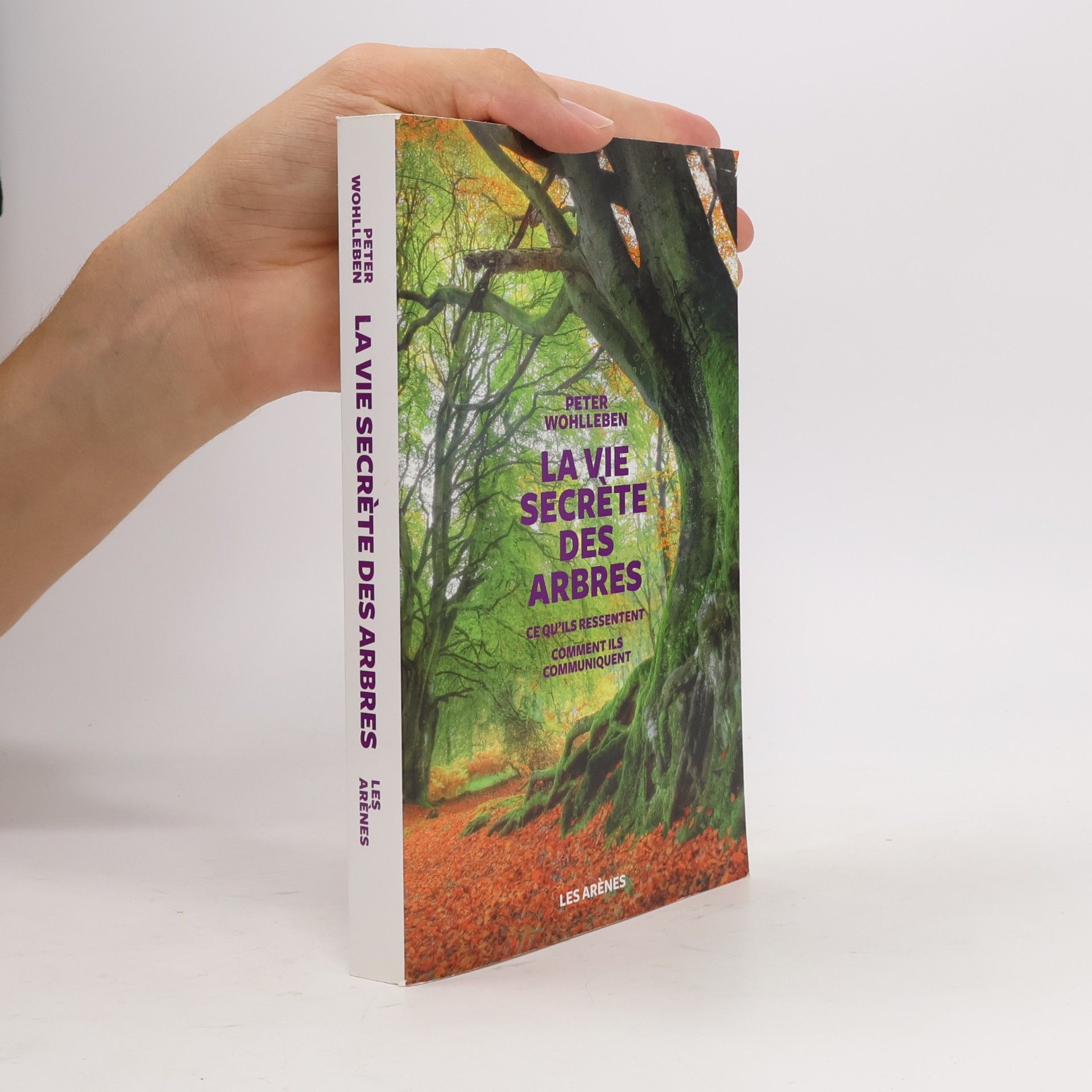 La vie secrète des arbres