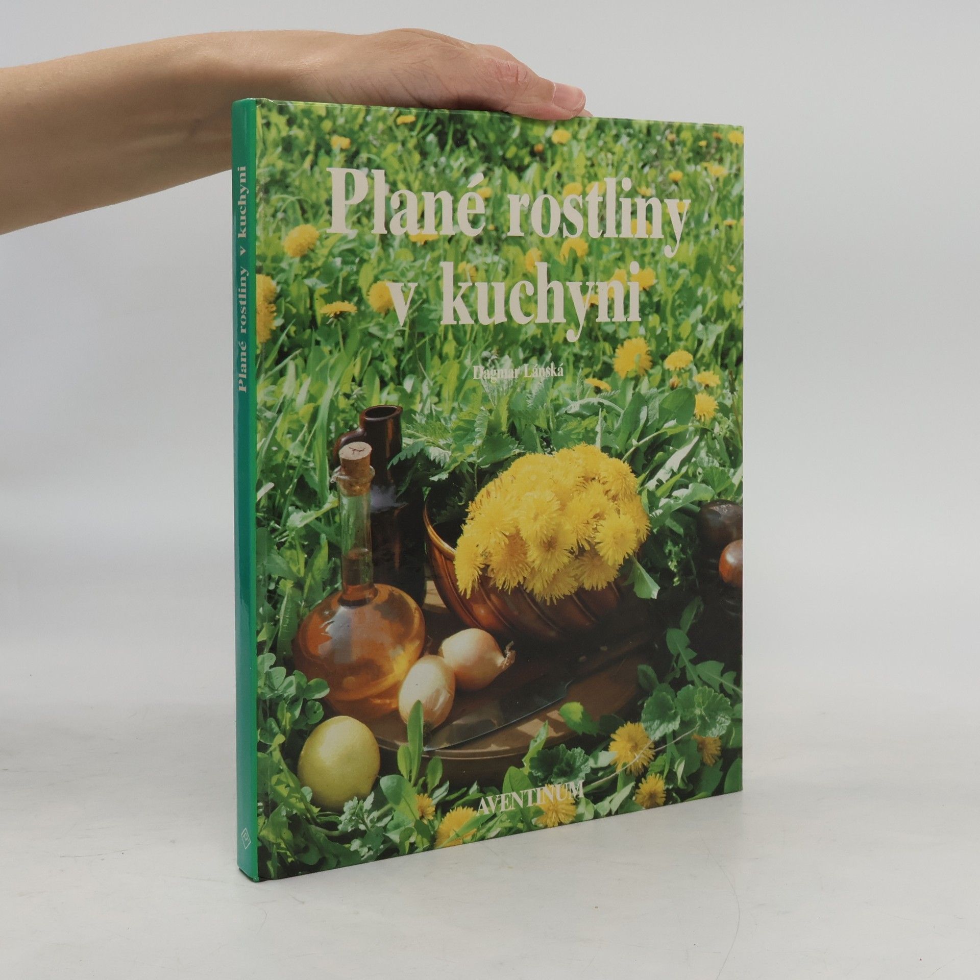 Dagmar Lánská Plané rostliny v kuchyni