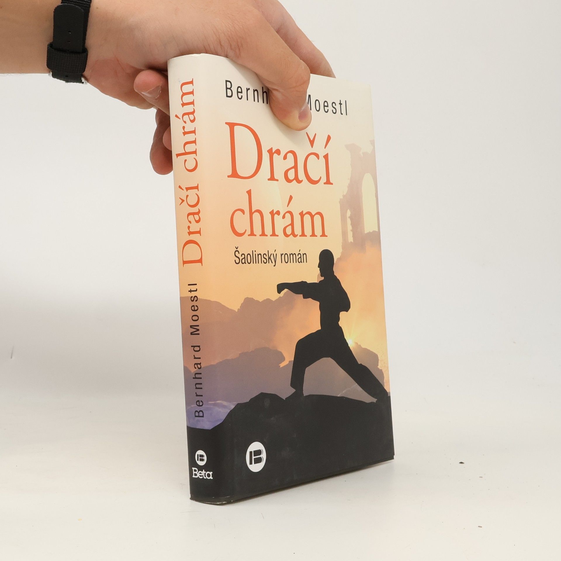 Ivana Dresia Dračí chrám : šaolinský román