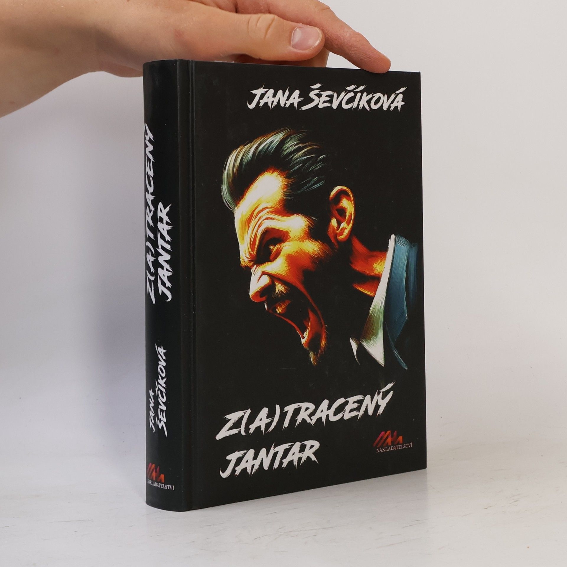 Jana Ševčíková Z(a)tracený jantar