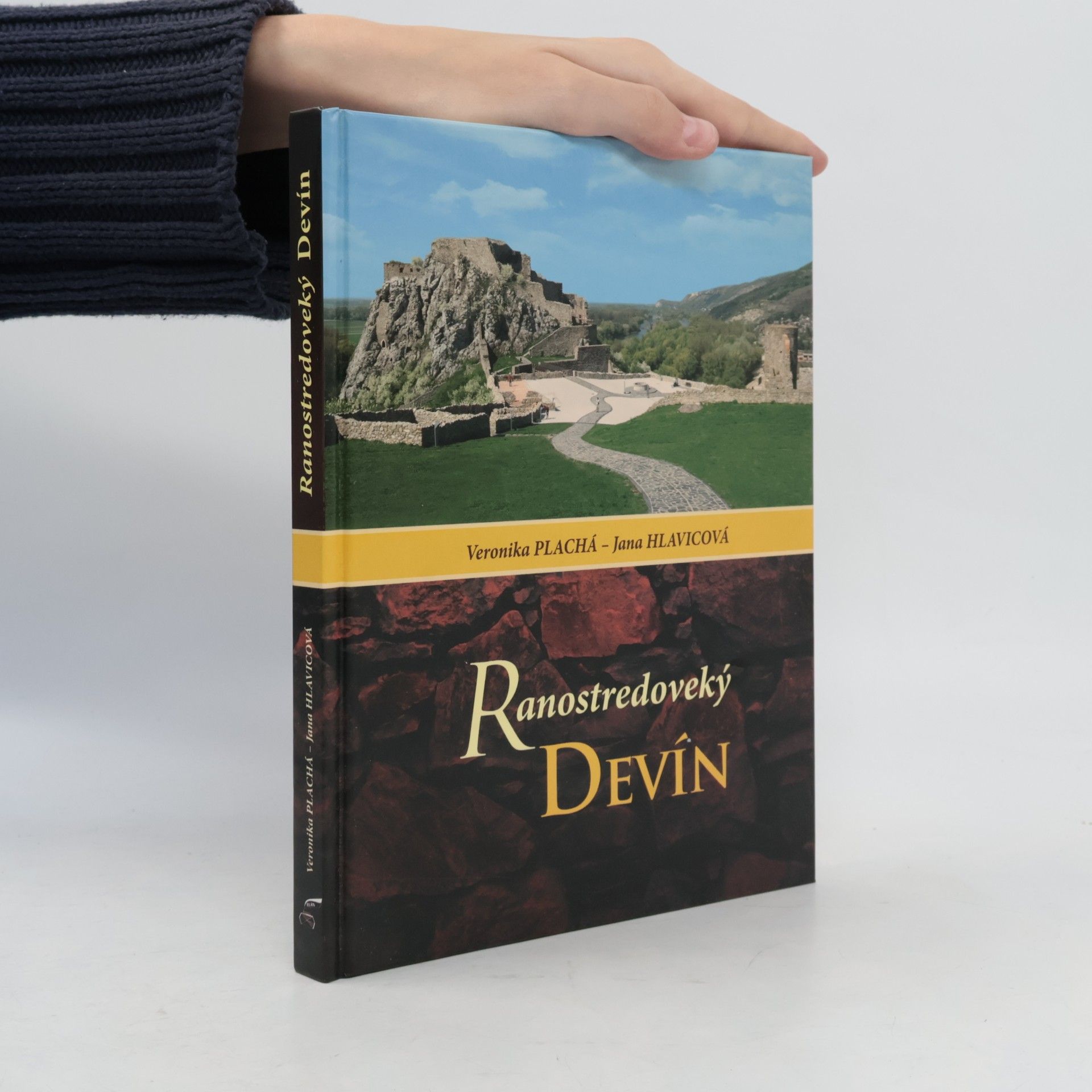 Ranostredoveký Devín