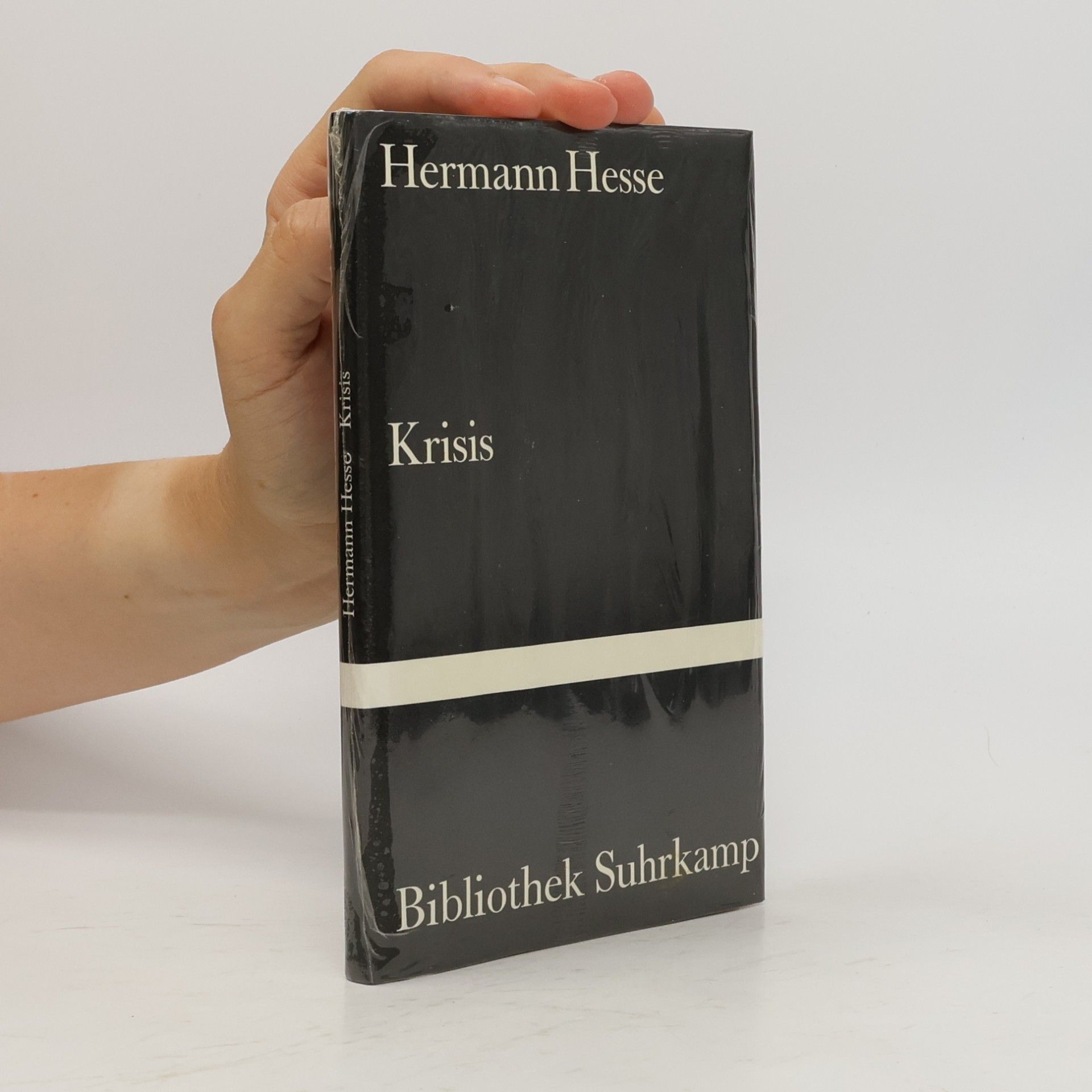 Hermann Hesse Krisis