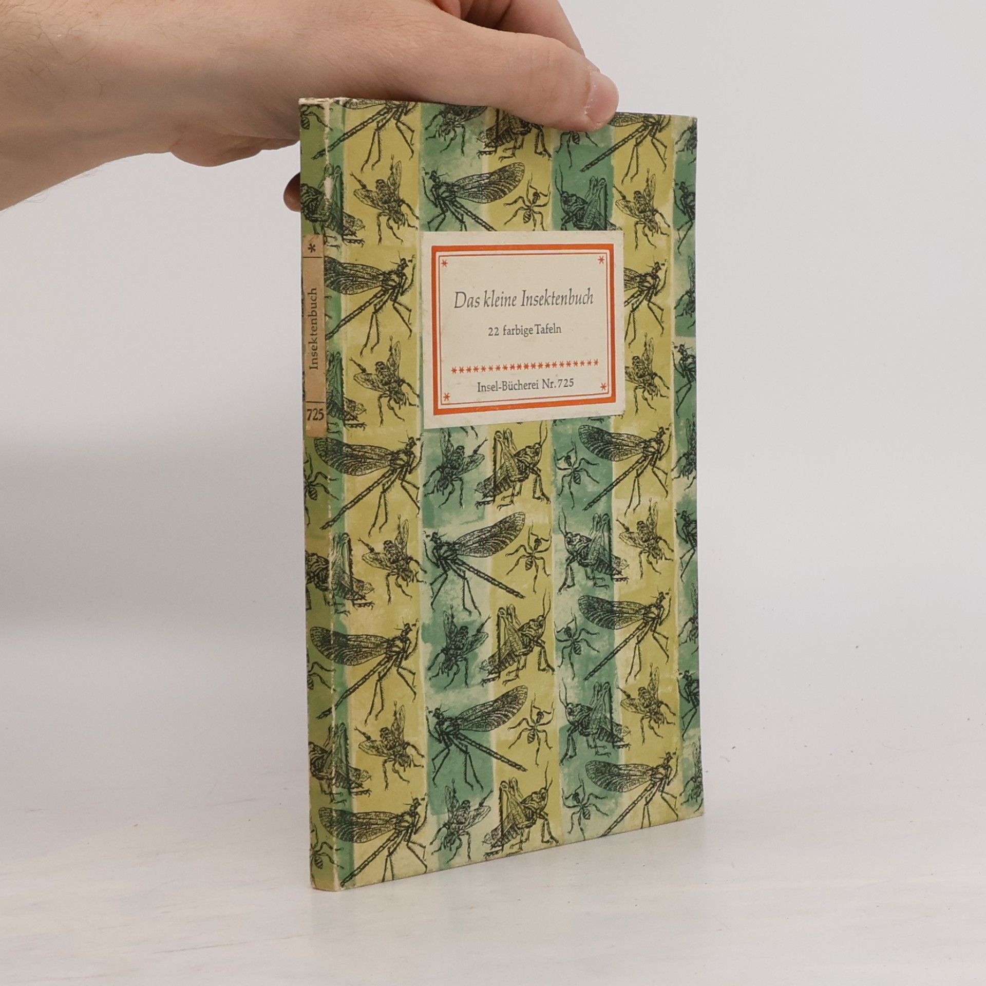 Das kleine Insektenbuch