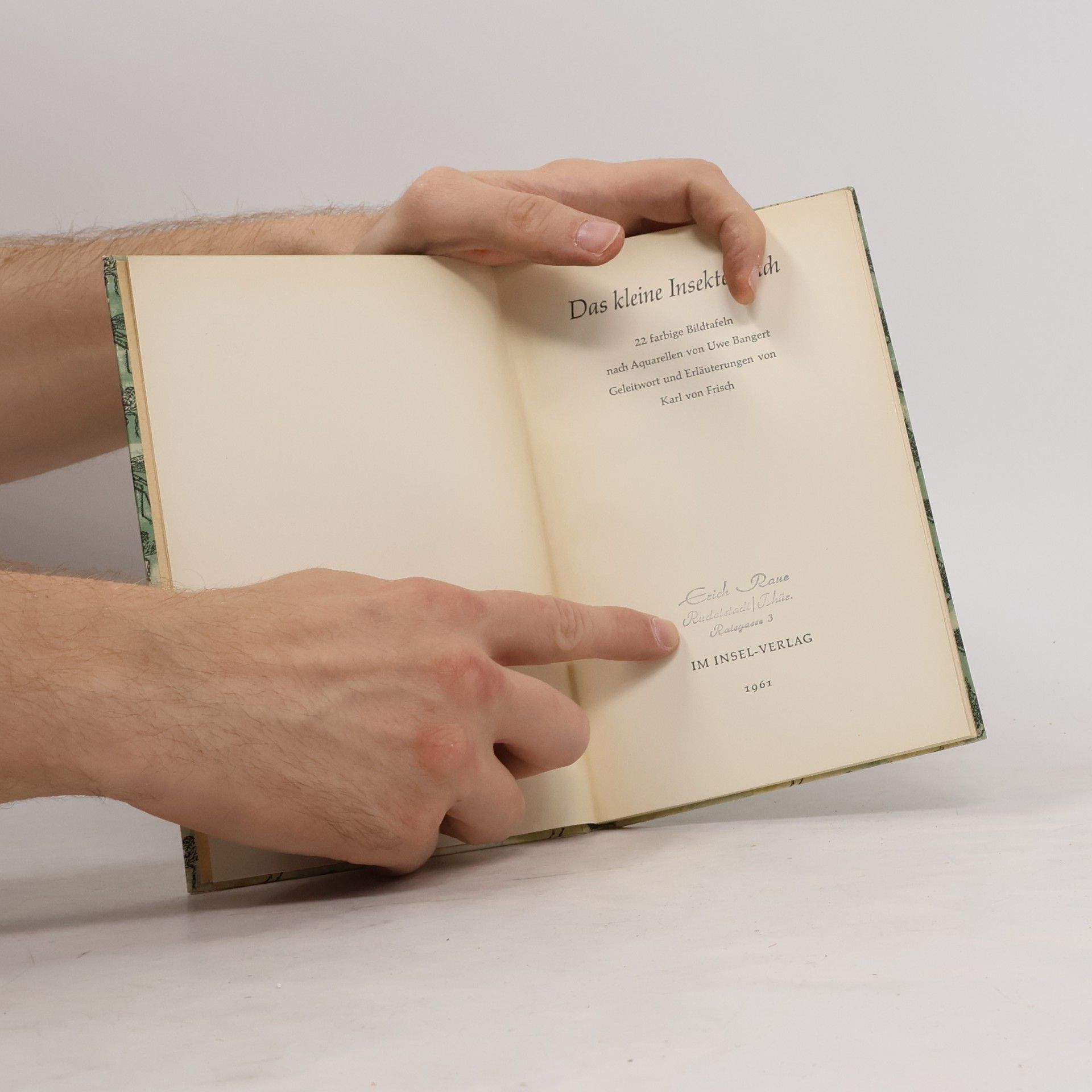 Karl von Frisch Das kleine Insektenbuch