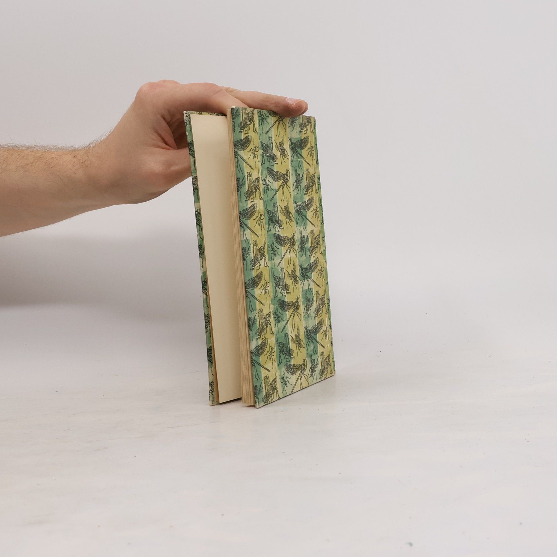 Karl von Frisch Das kleine Insektenbuch