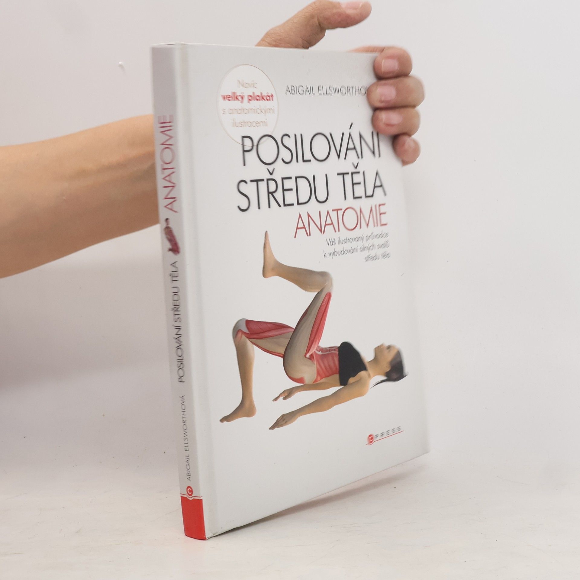 Abby Ellsworth Posilování středu těla - anatomie