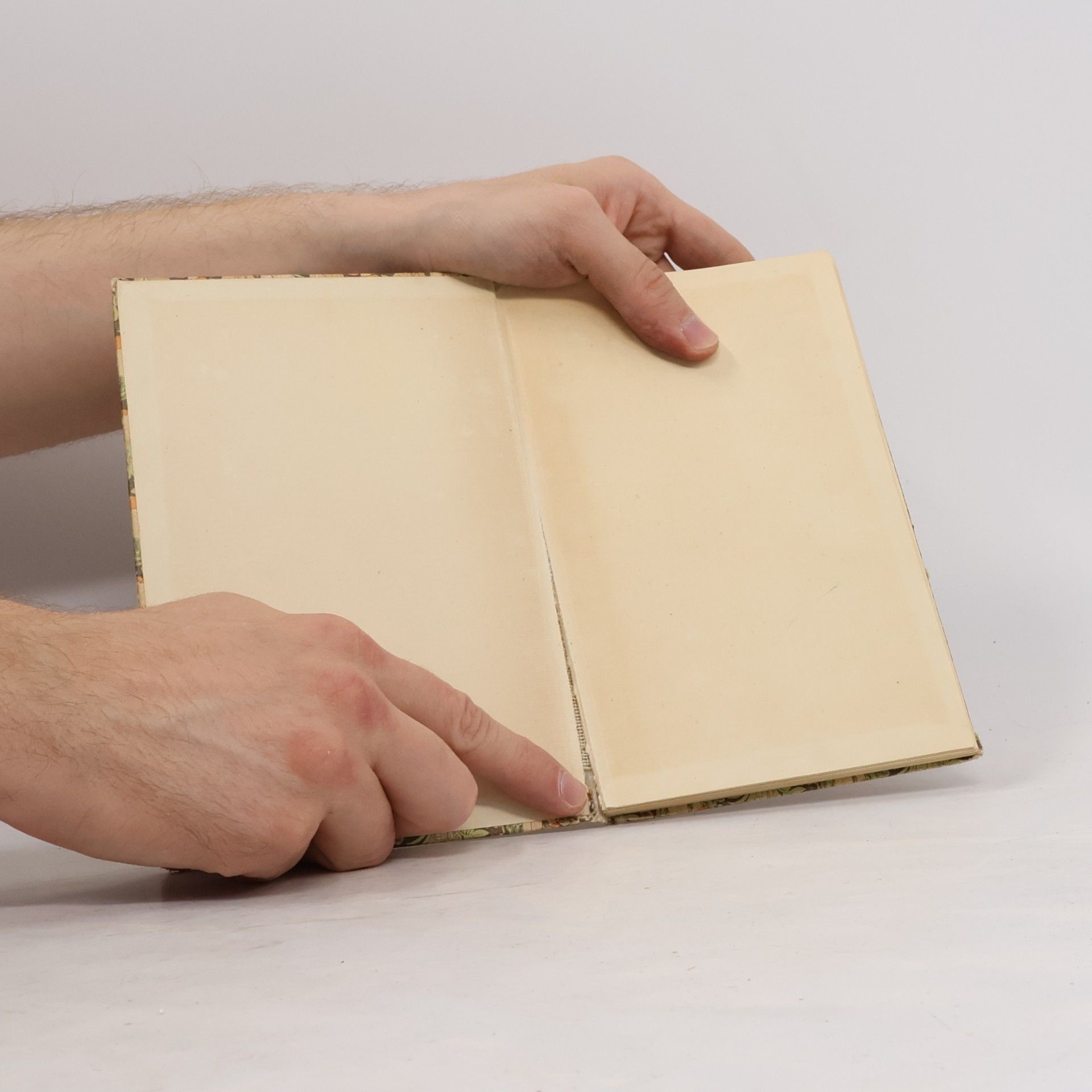 Willi Harwerth Das kleine Pilzbuch