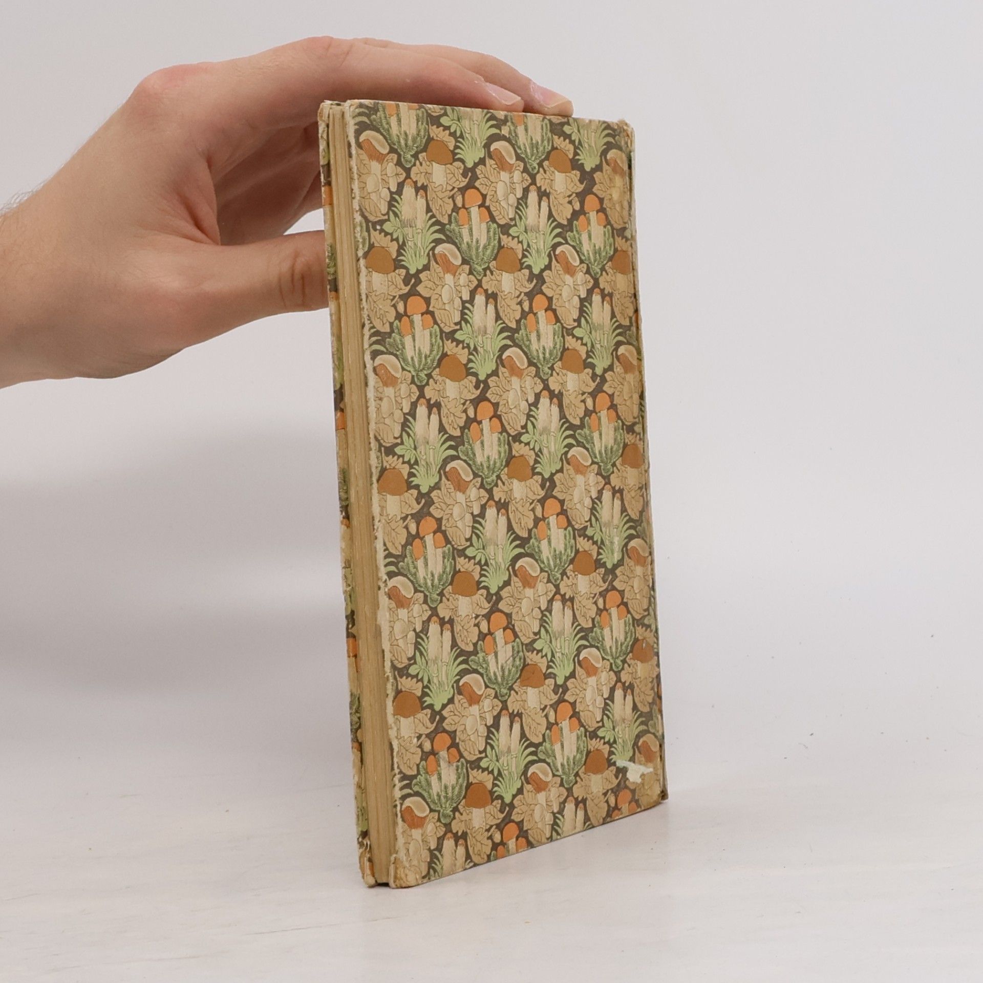Willi Harwerth Das kleine Pilzbuch