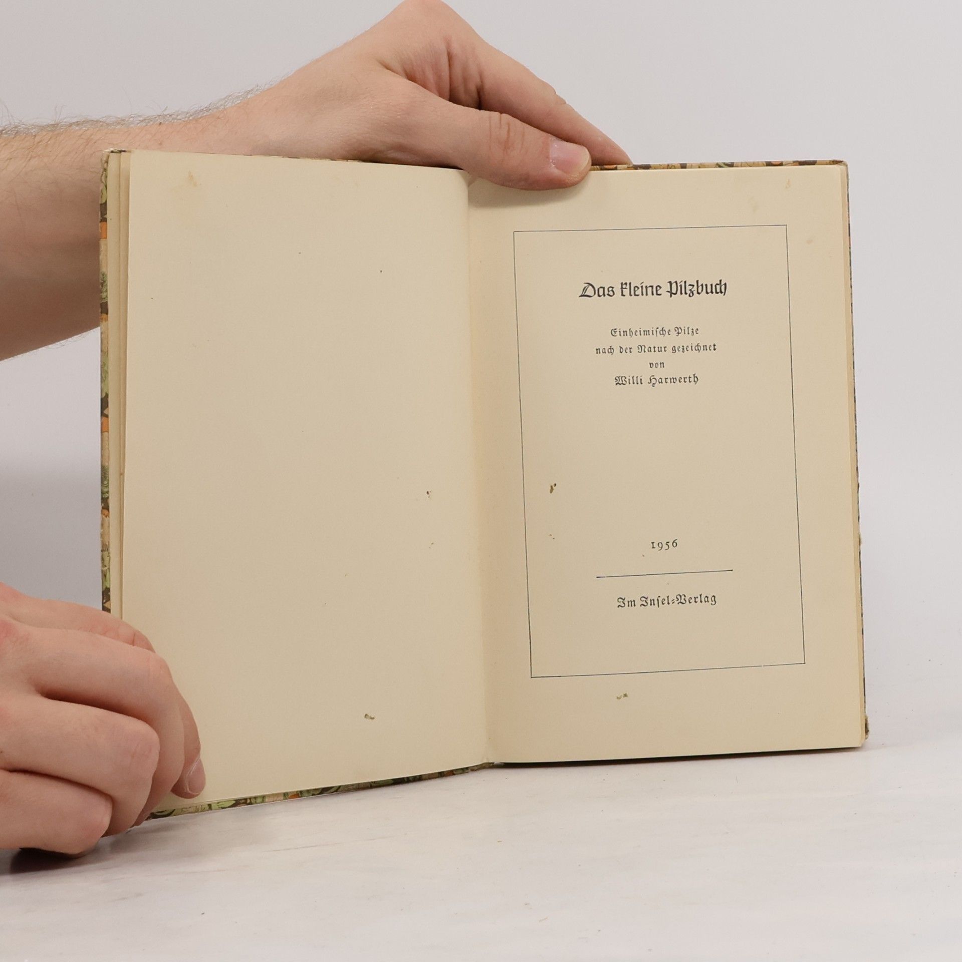Willi Harwerth Das kleine Pilzbuch