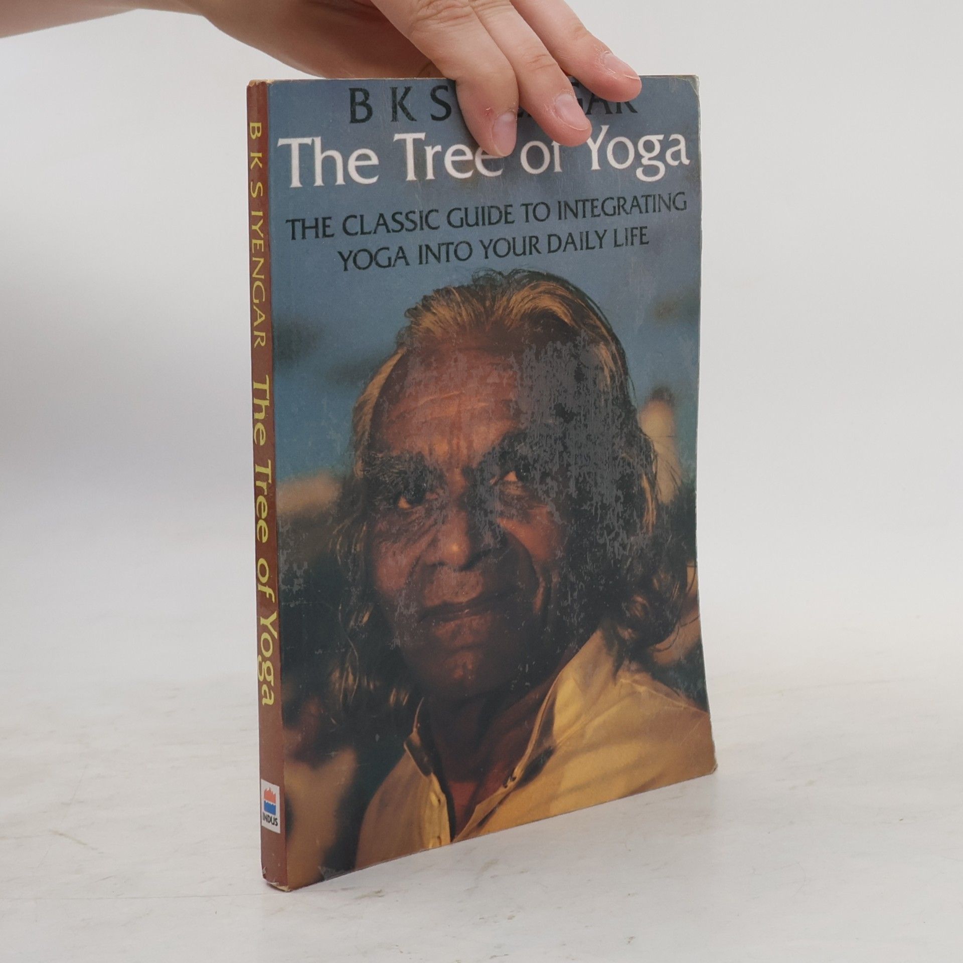 B. K. S. Iyengar The Tree of Yoga