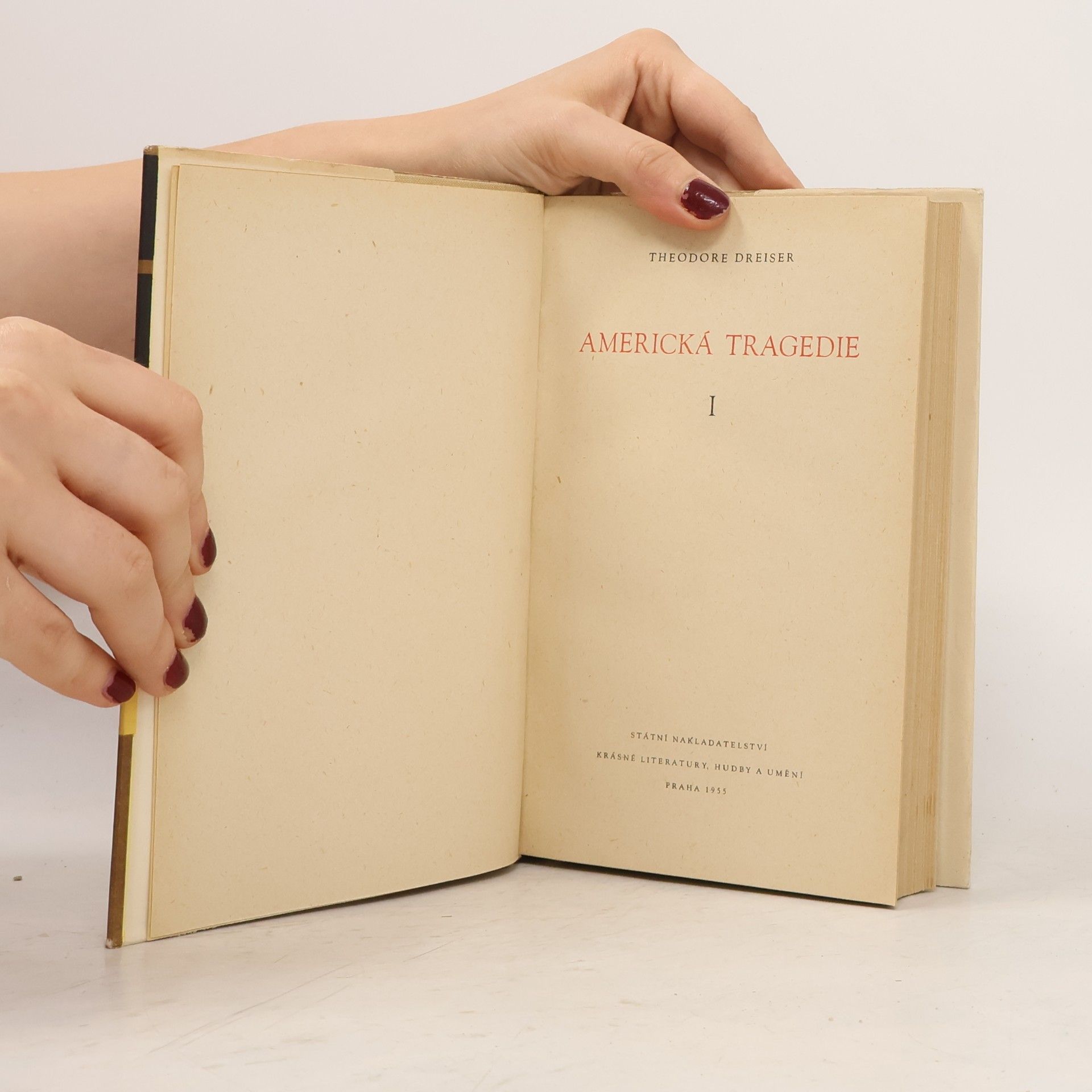 Theodore Dreiser Americká tragedie I