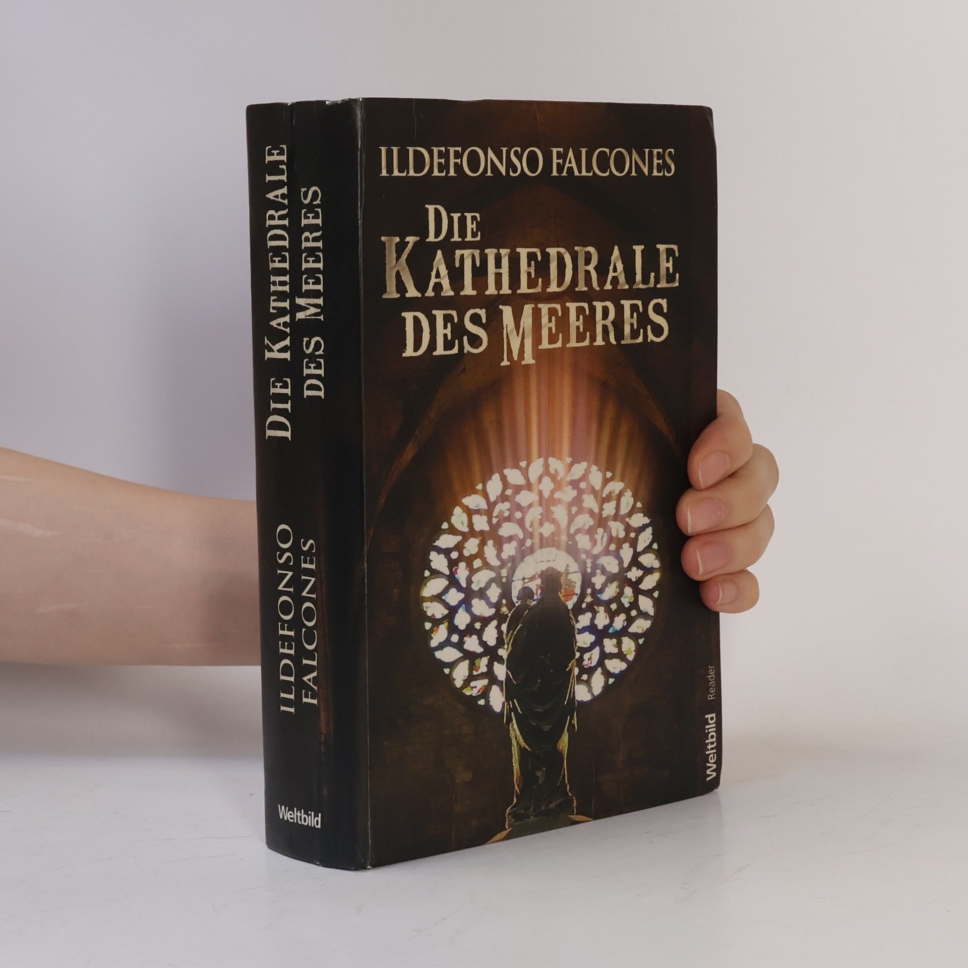 Ildefonso Falcones Die Kathedrale des Meeres