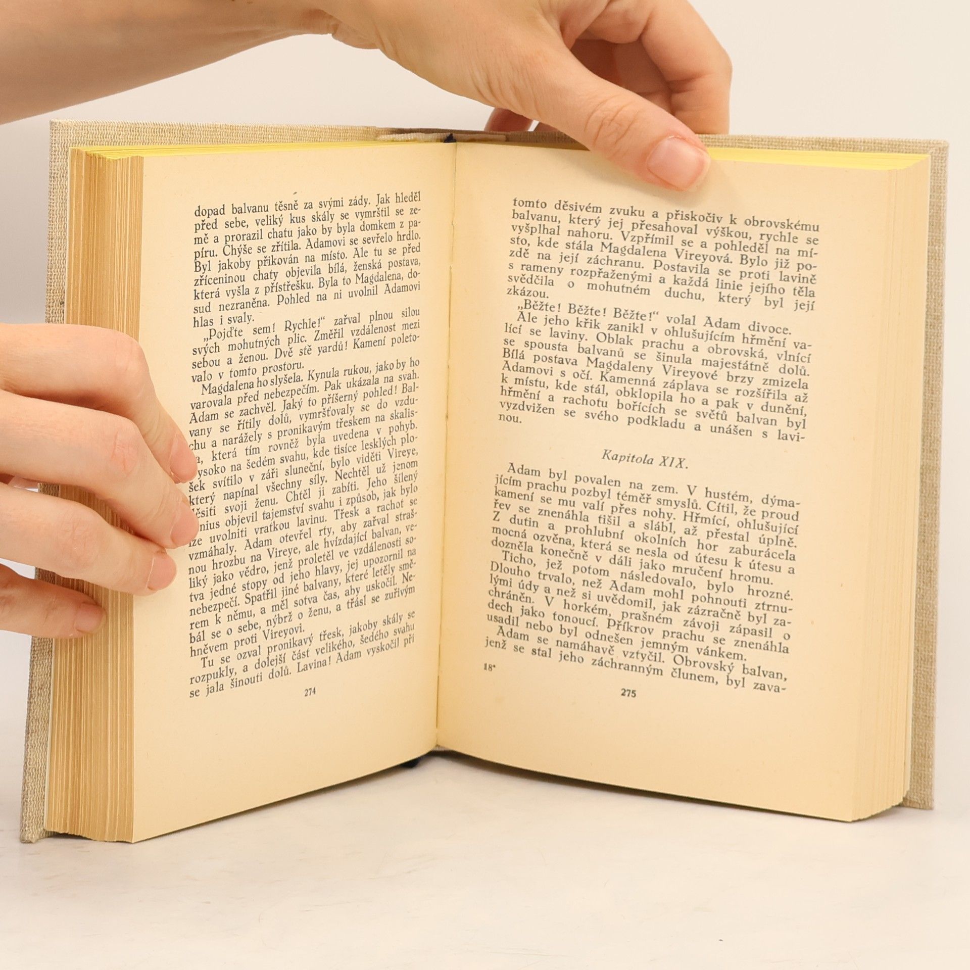 Zane Grey Poutník v pustinách