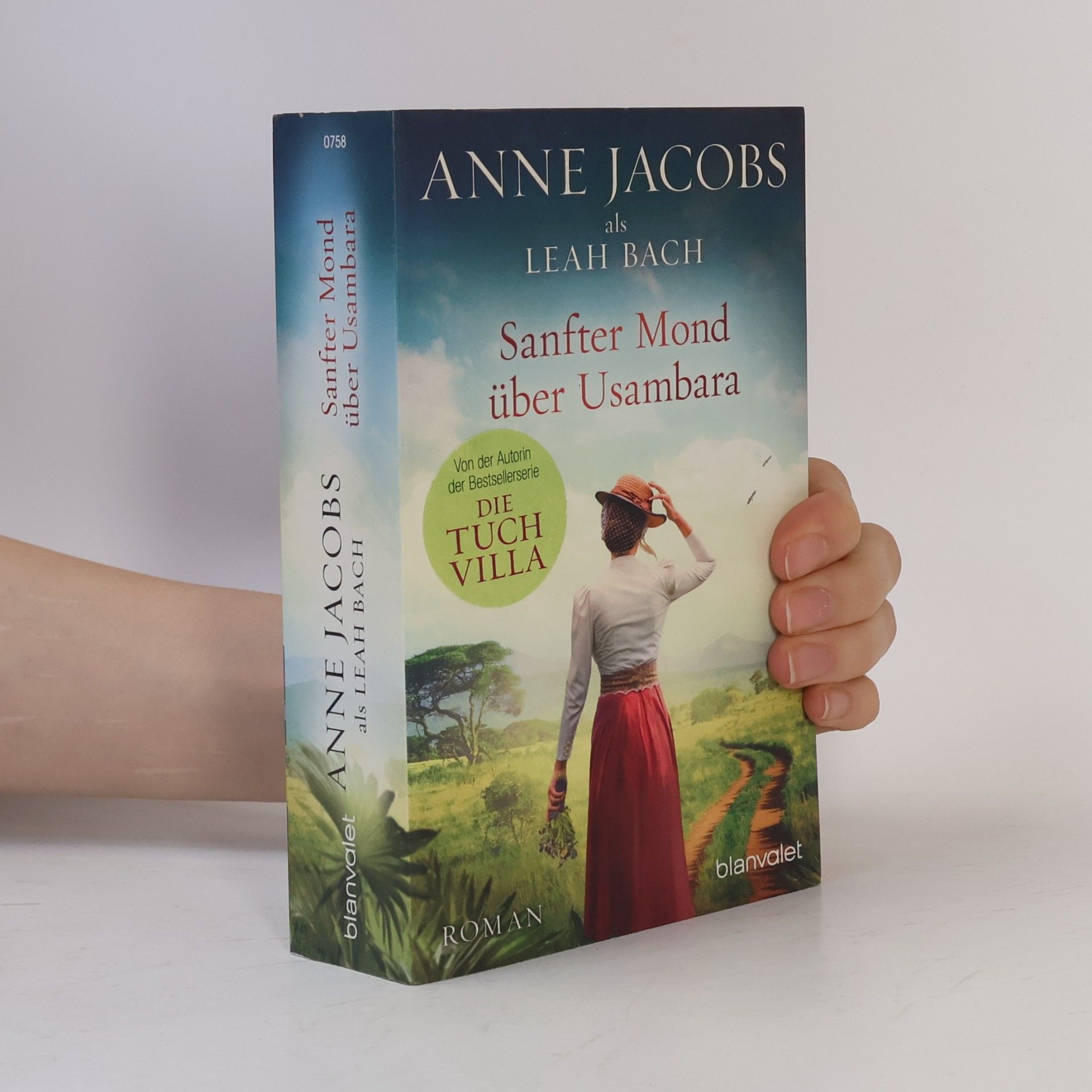 Anne Jacobs Sanfter Mond über Usambara