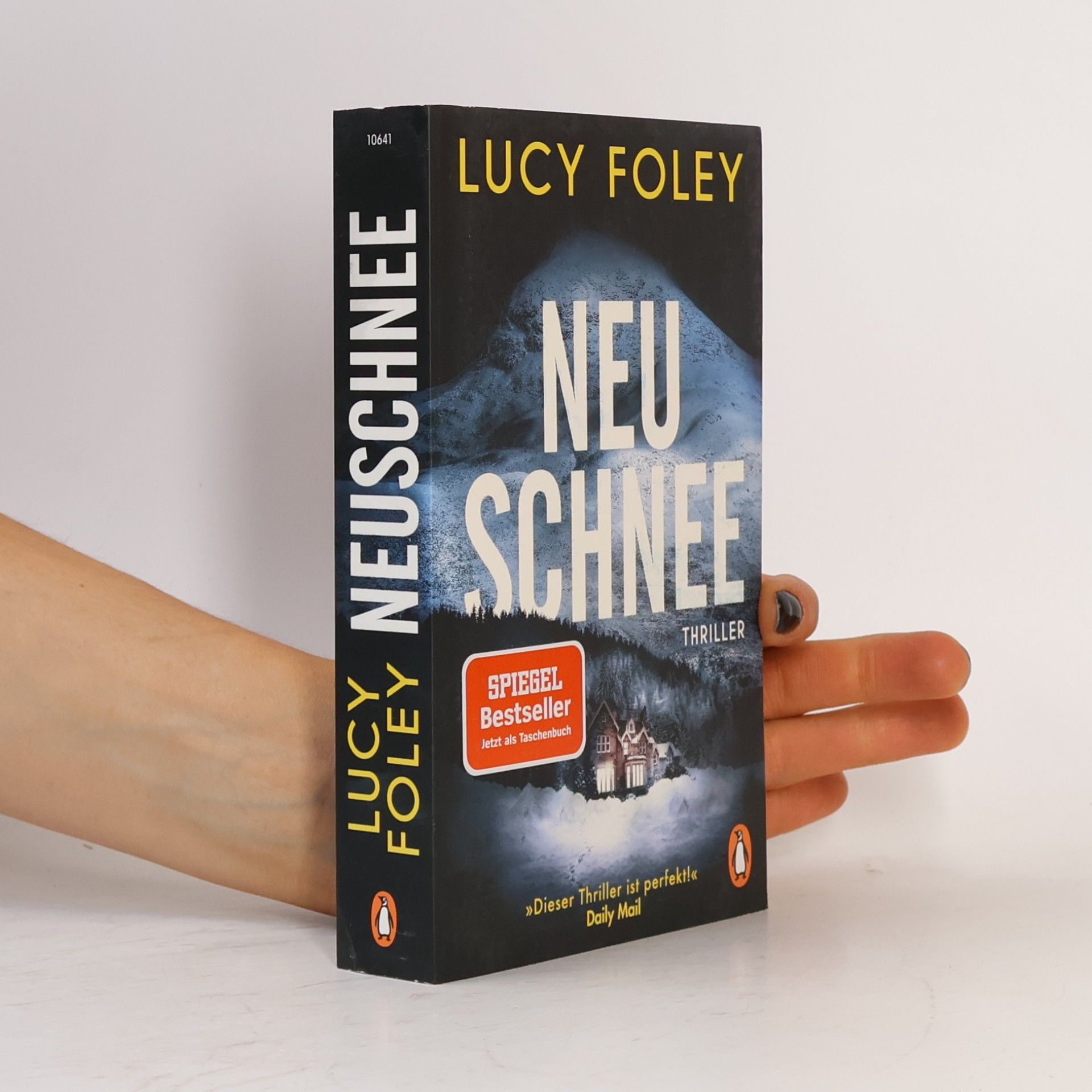 Lucy Foley Neuschnee