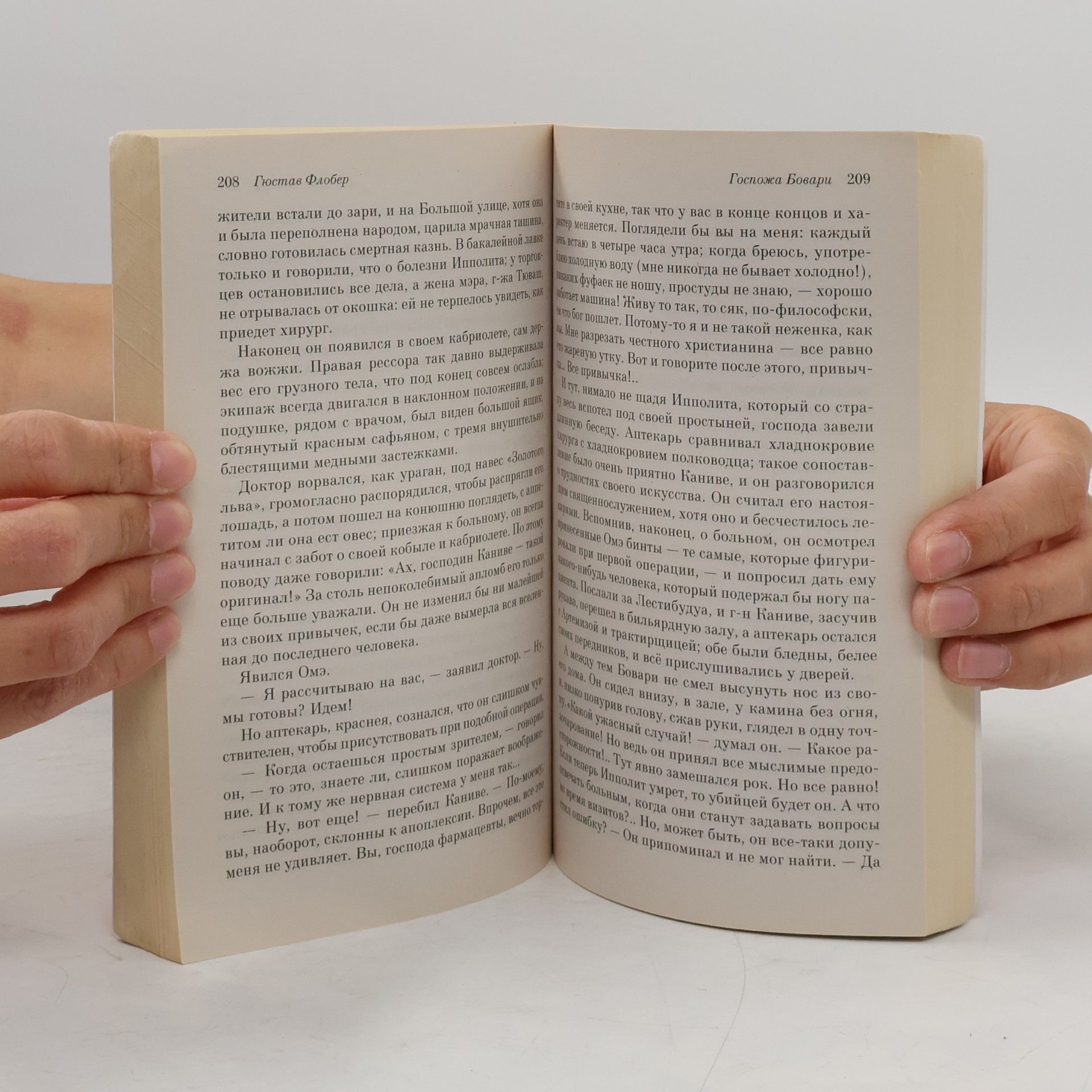 Gustave Flaubert 100 Главных Книг: Госпожа Бовари