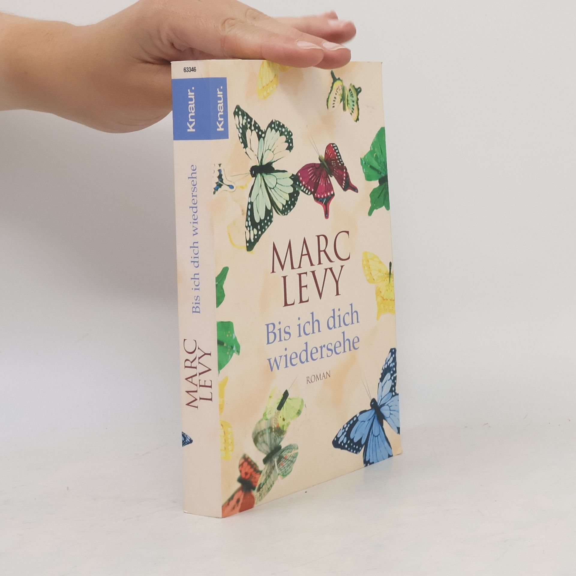 Marc Levy Bis ich dich wiedersehe