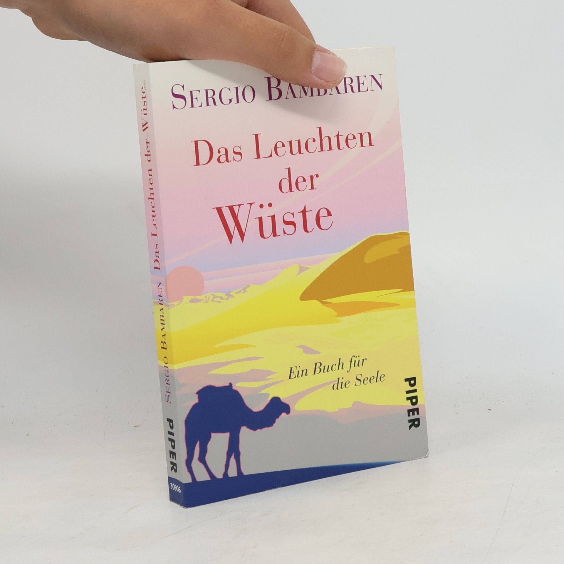 Sergio Bambarén Das Leuchten der Wüste