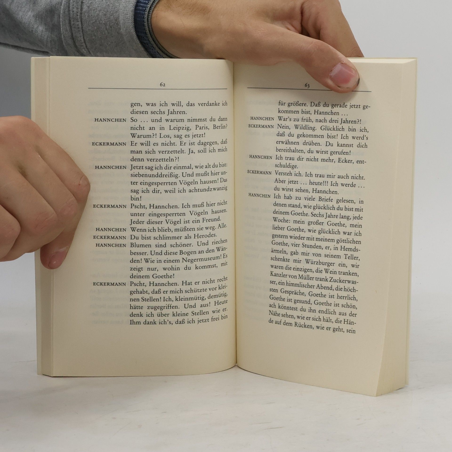 Martin Walser In Goethes Hand. Szenen aus dem 19. Jahrhundert