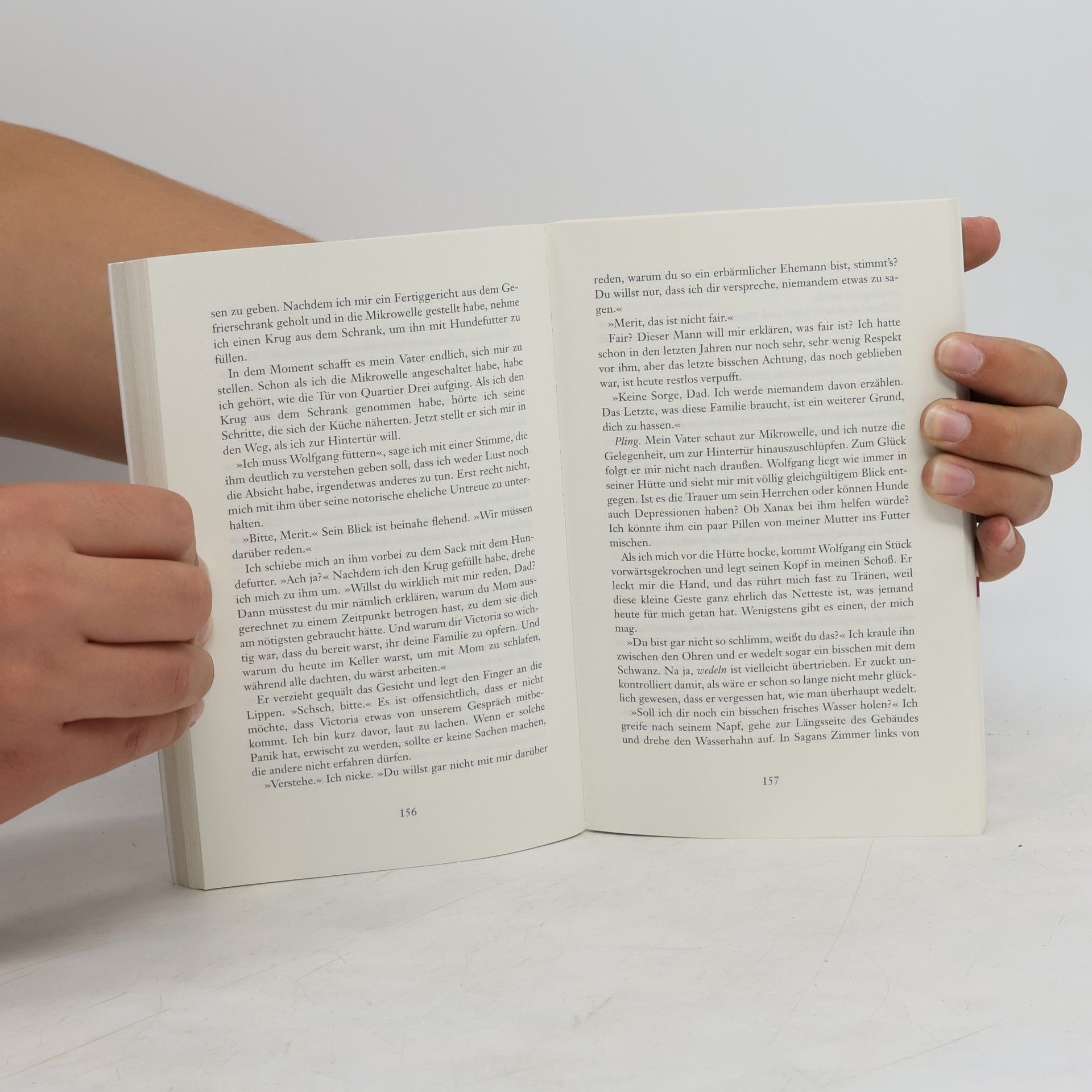 Colleen Hoover Die tausend Teile meines Herzens
