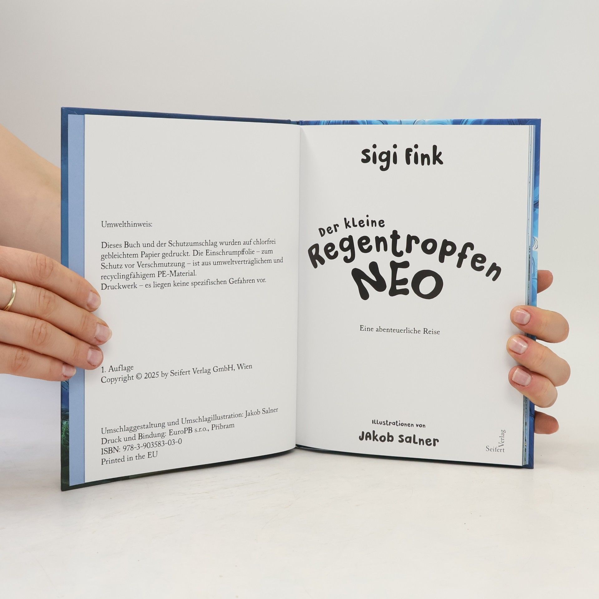 Sigi Fink Der kleine Regentropfen Neo – Eine abenteuerliche Reise