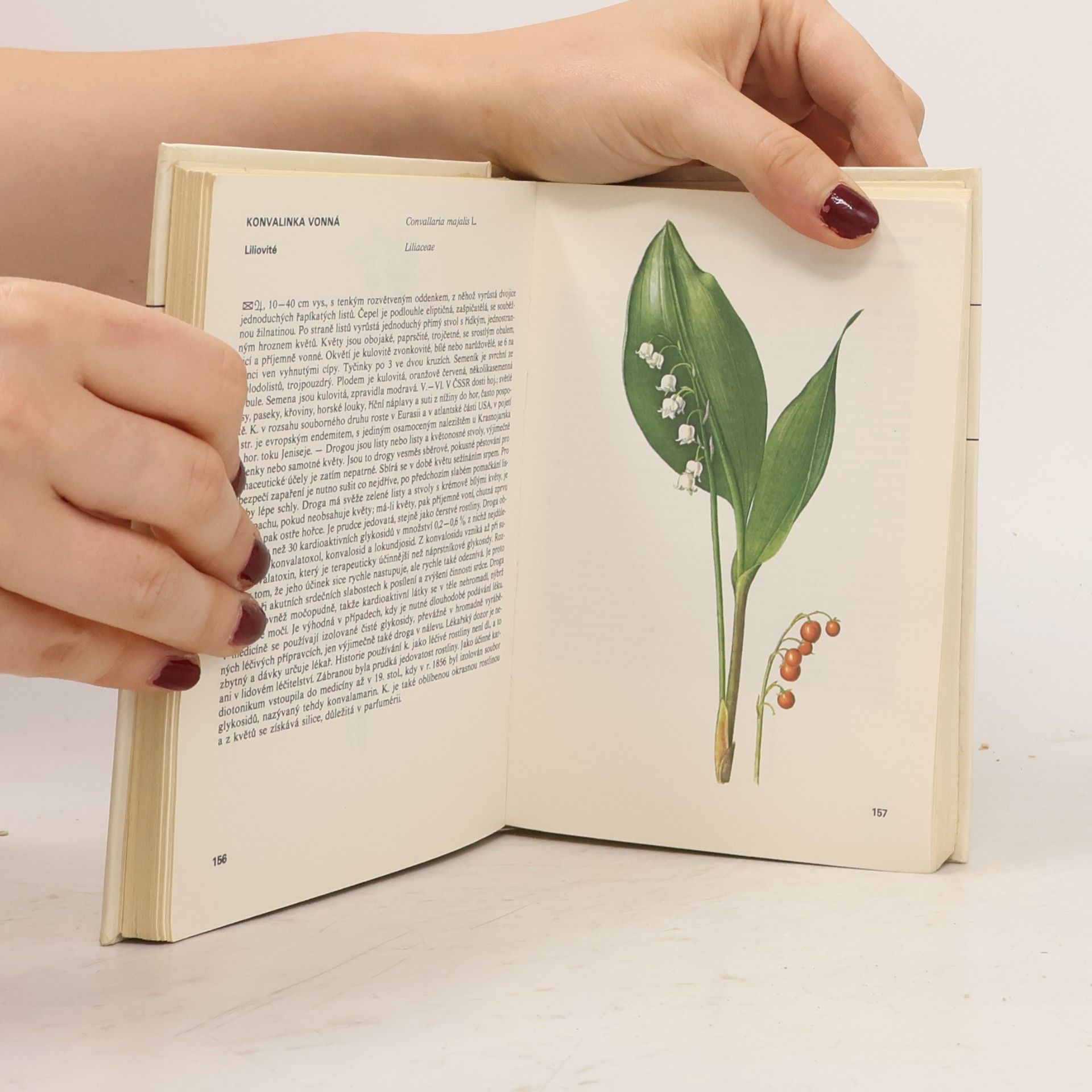 Václav Jirásek Kapesní atlas léčivých rostlin