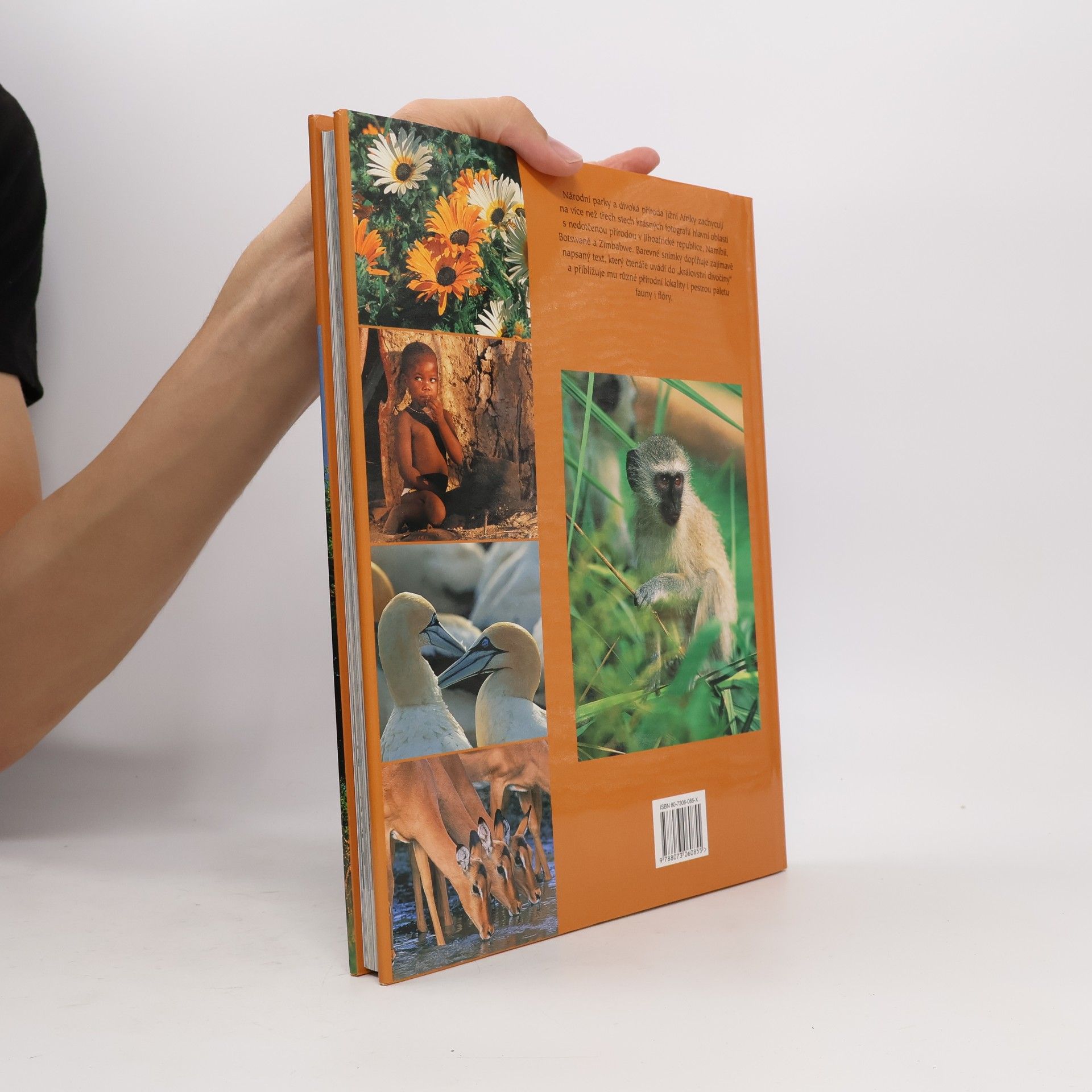 Brian Johnson Barker Národní parky a divoká příroda jižní Afriky