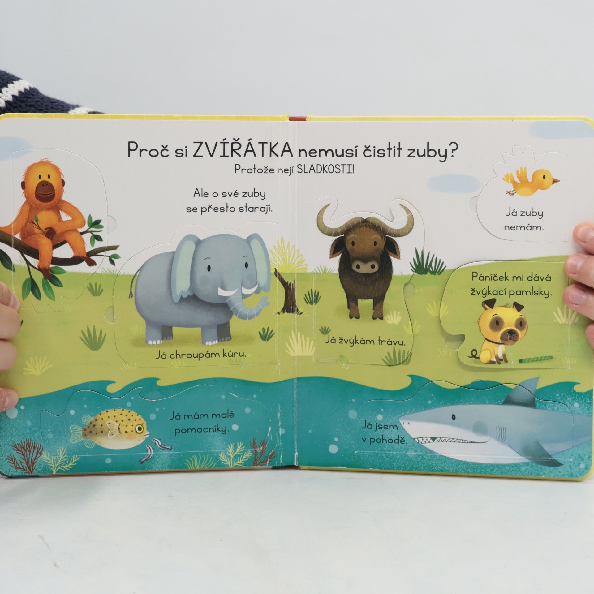 Katie Daynes Proč si musím čistit zuby?