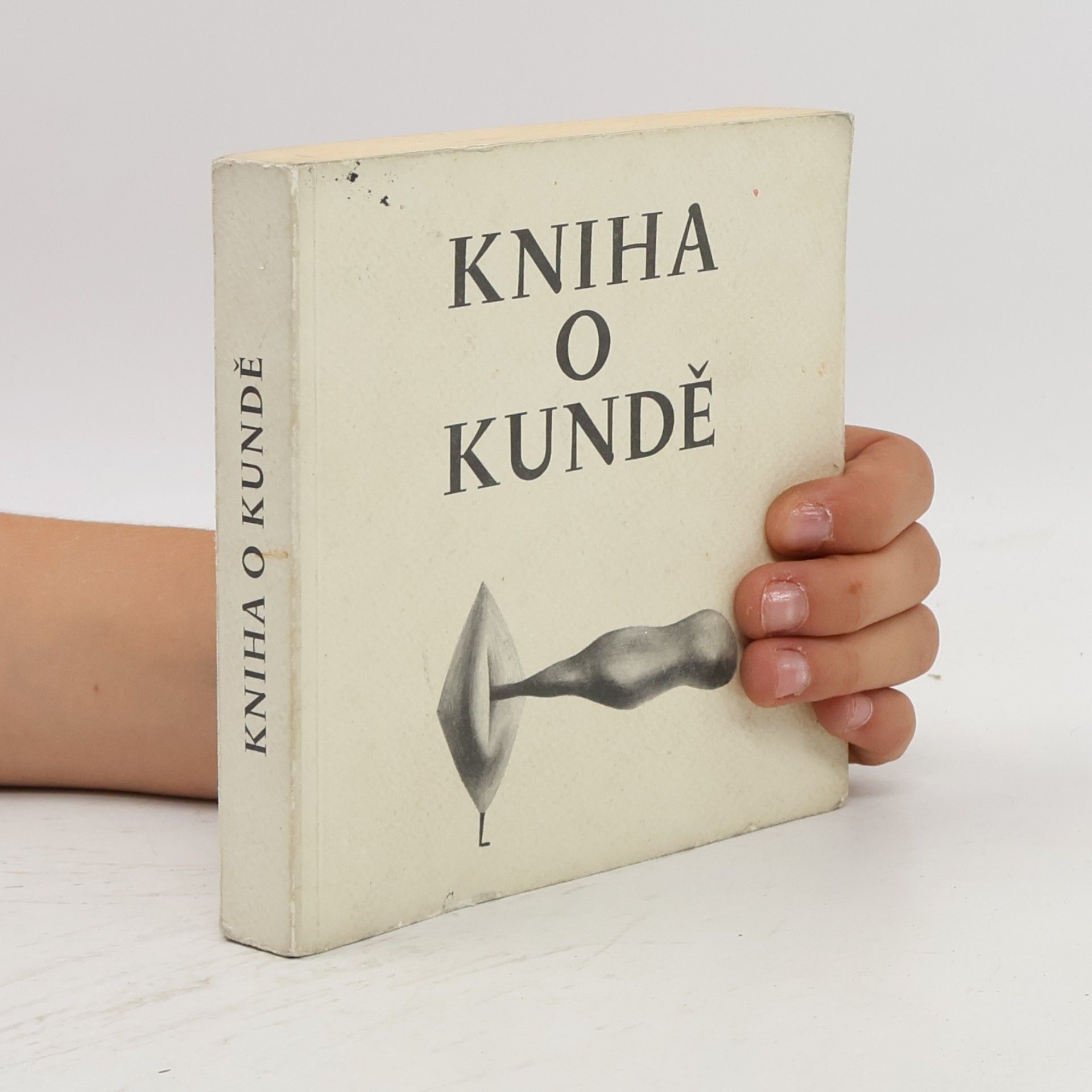 Nela D. Aston Kniha o kundě