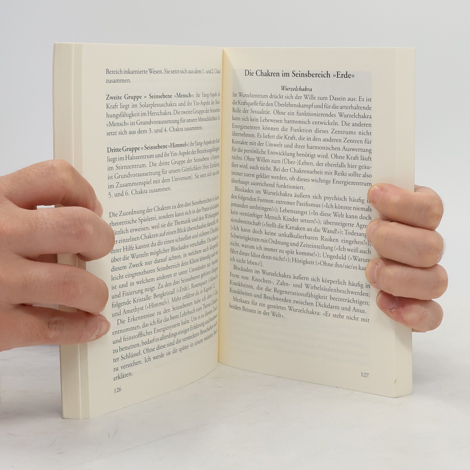 Walter Lübeck Das Reiki-Handbuch