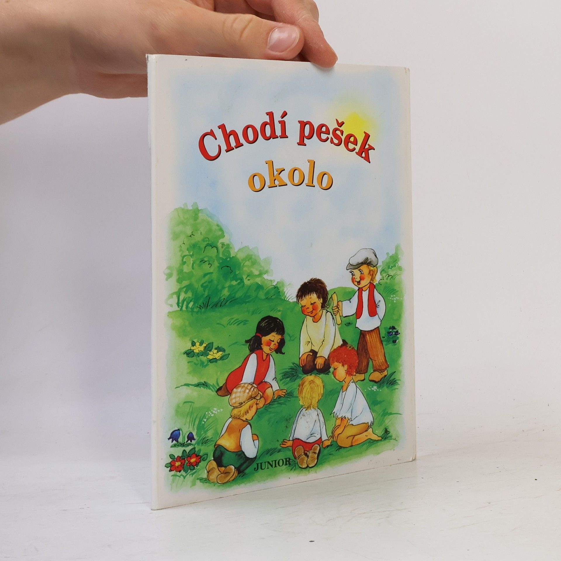 Vladimíra Vopičková Chodí pešek okolo (leporelo)