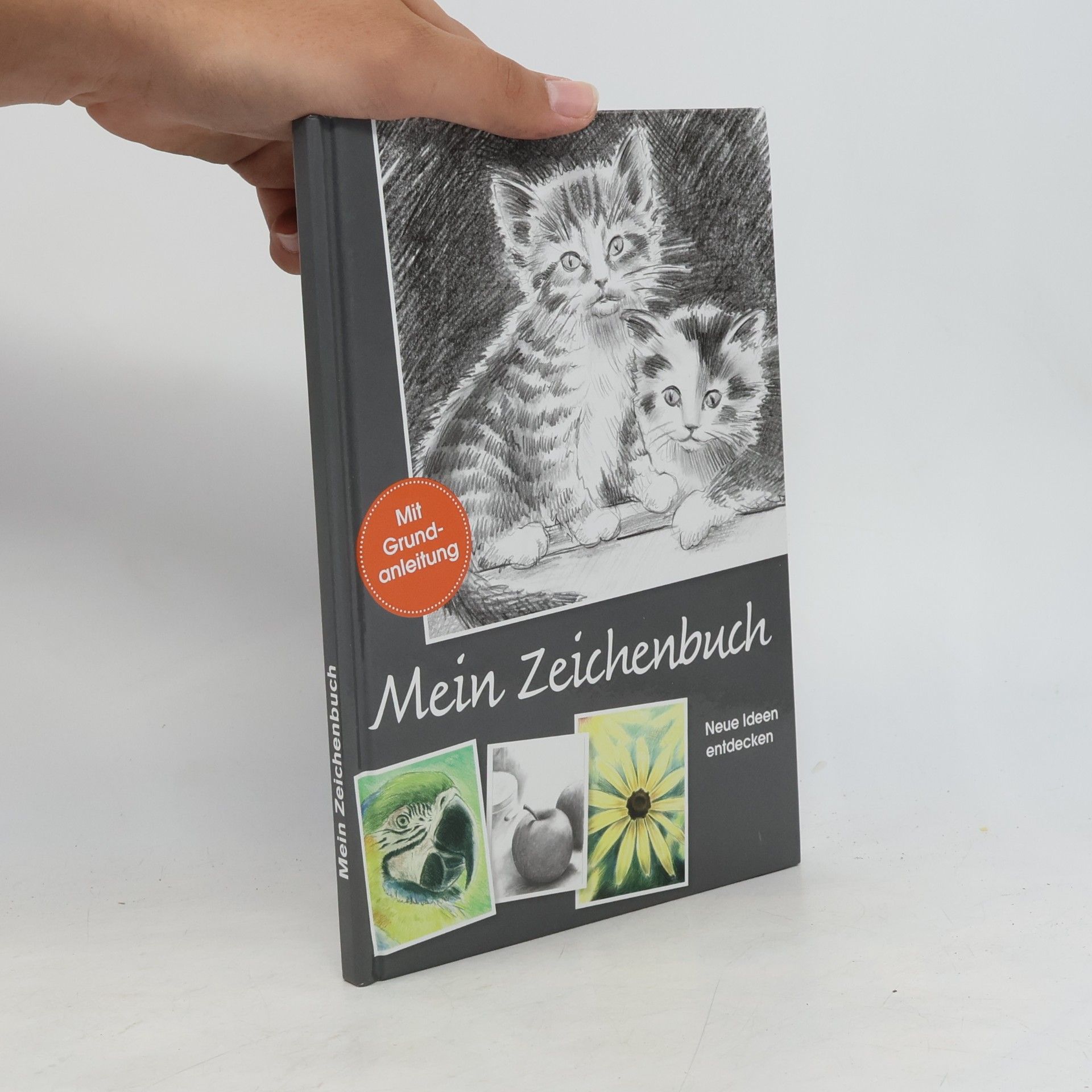 Collectif d'auteurs Mein Zeichenbuch