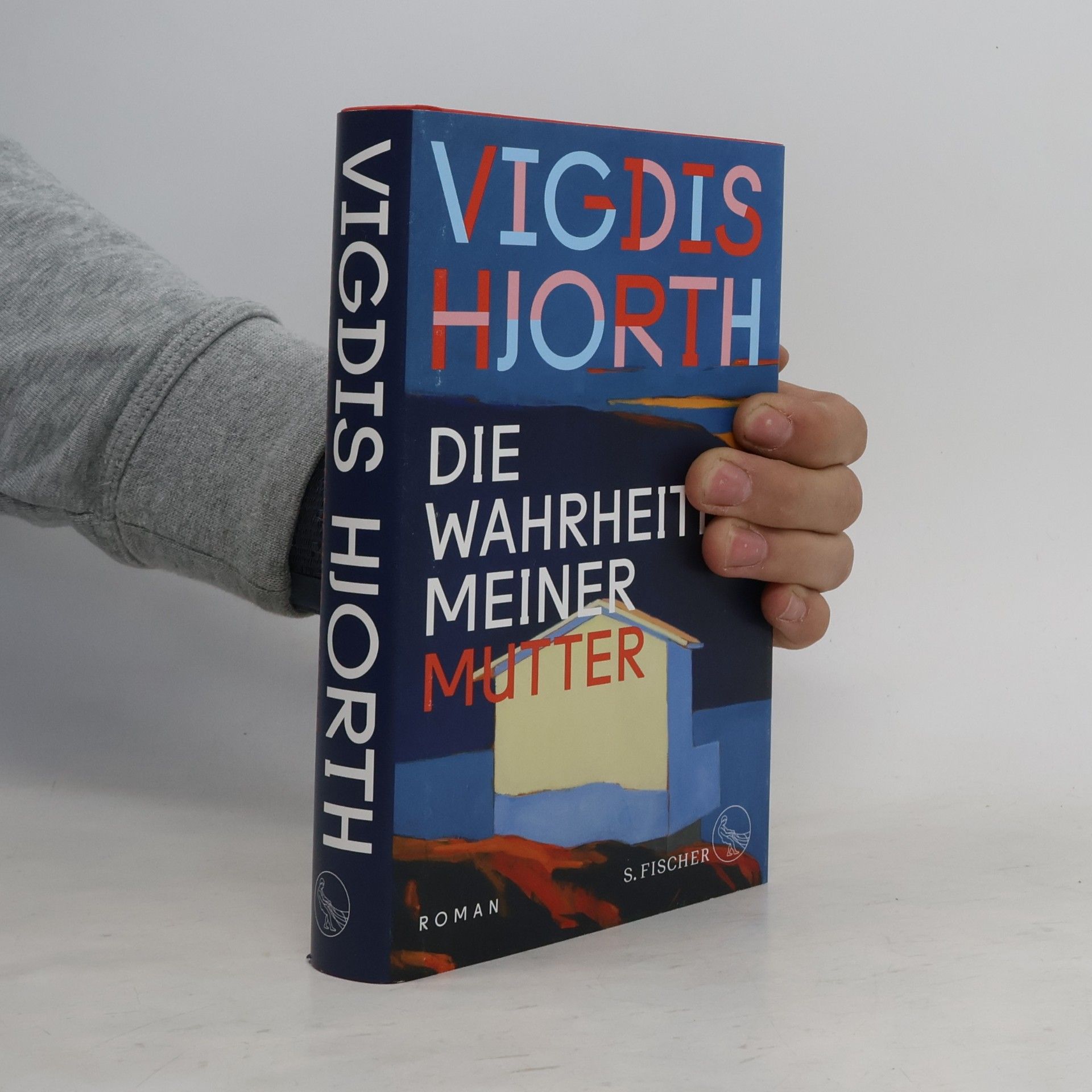 Vigdis Hjorth Die Wahrheiten meiner Mutter