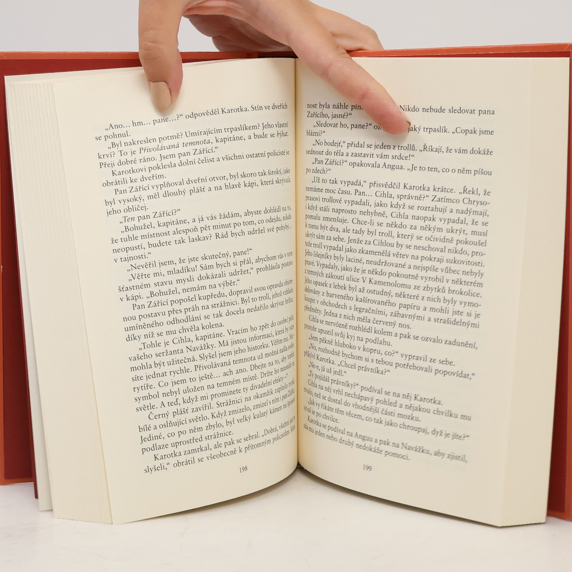 Terry Pratchett Buch!