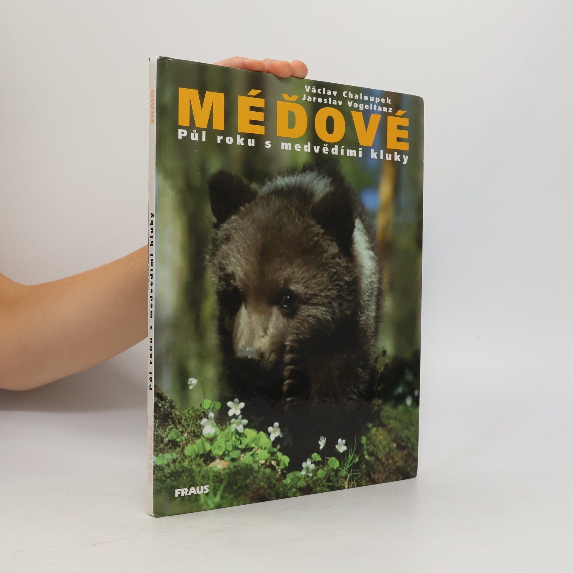 Václav Chaloupek Méďové. Půl roku s medvědími kluky