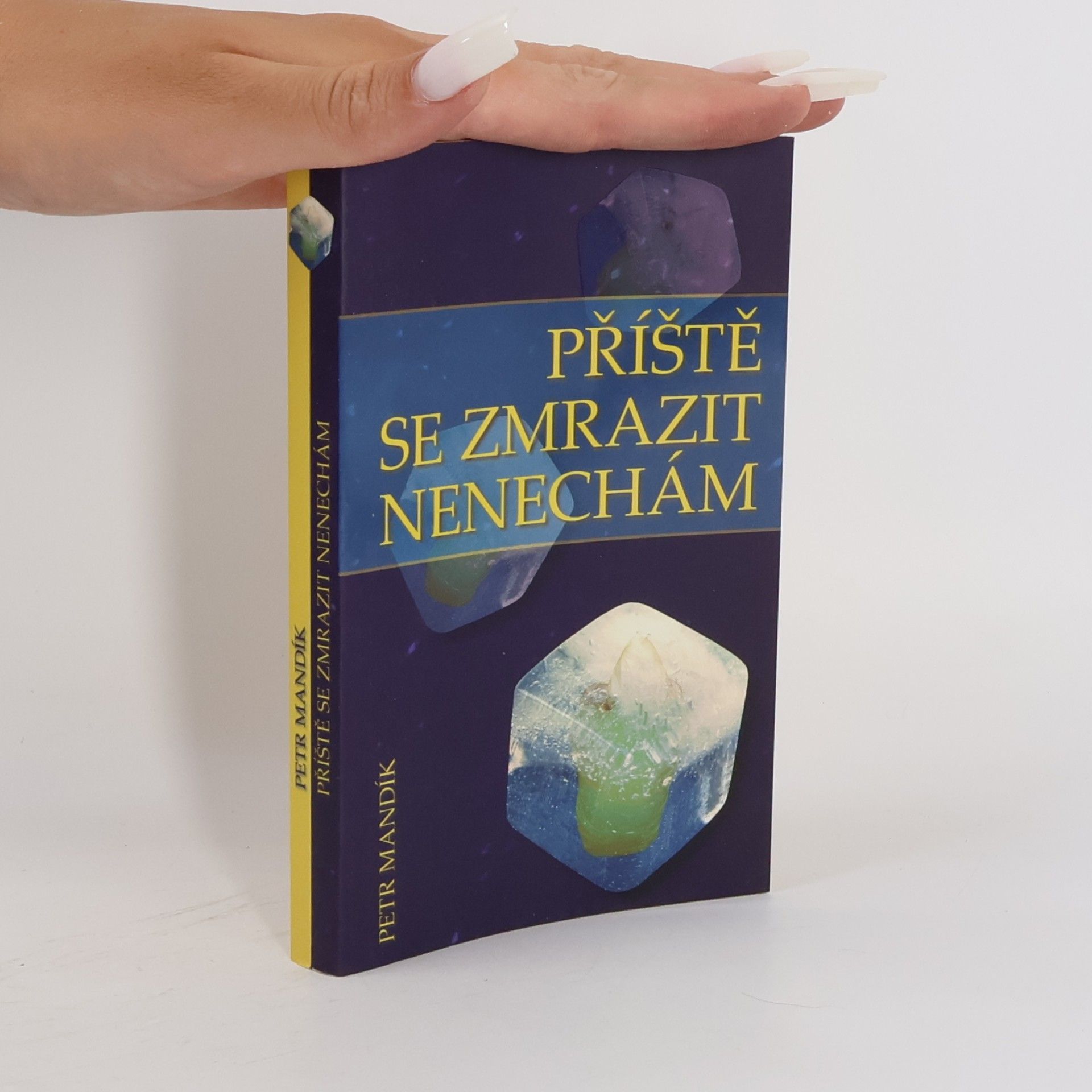Příště se zmrazit nenechám