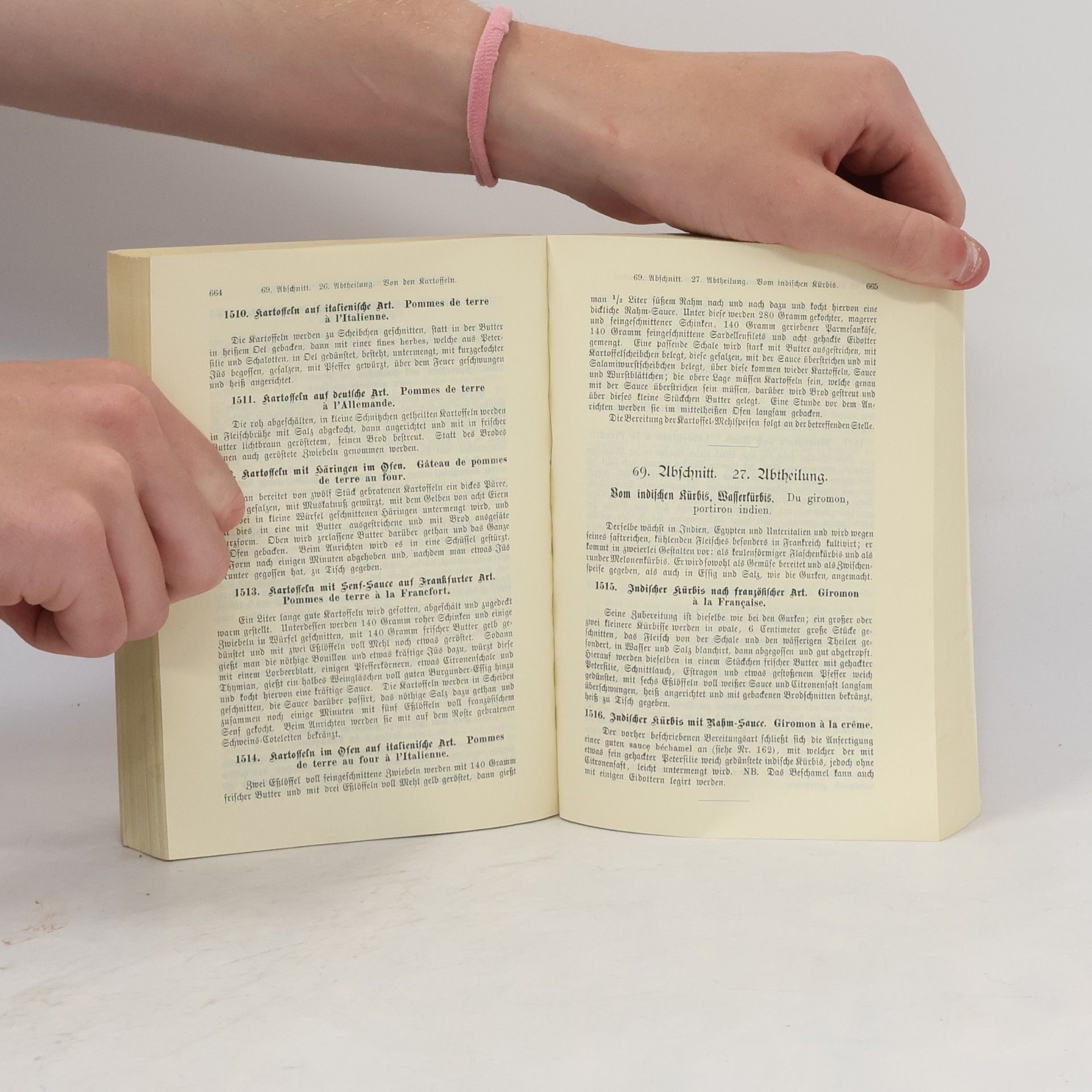 Johann Rottenhöfer Neue vollständige theoretisch-praktische Anweisung in der feinern Kochkunst mit besonderer Berücksichtigung der herrschaftlichen und bürgerlichen Küche