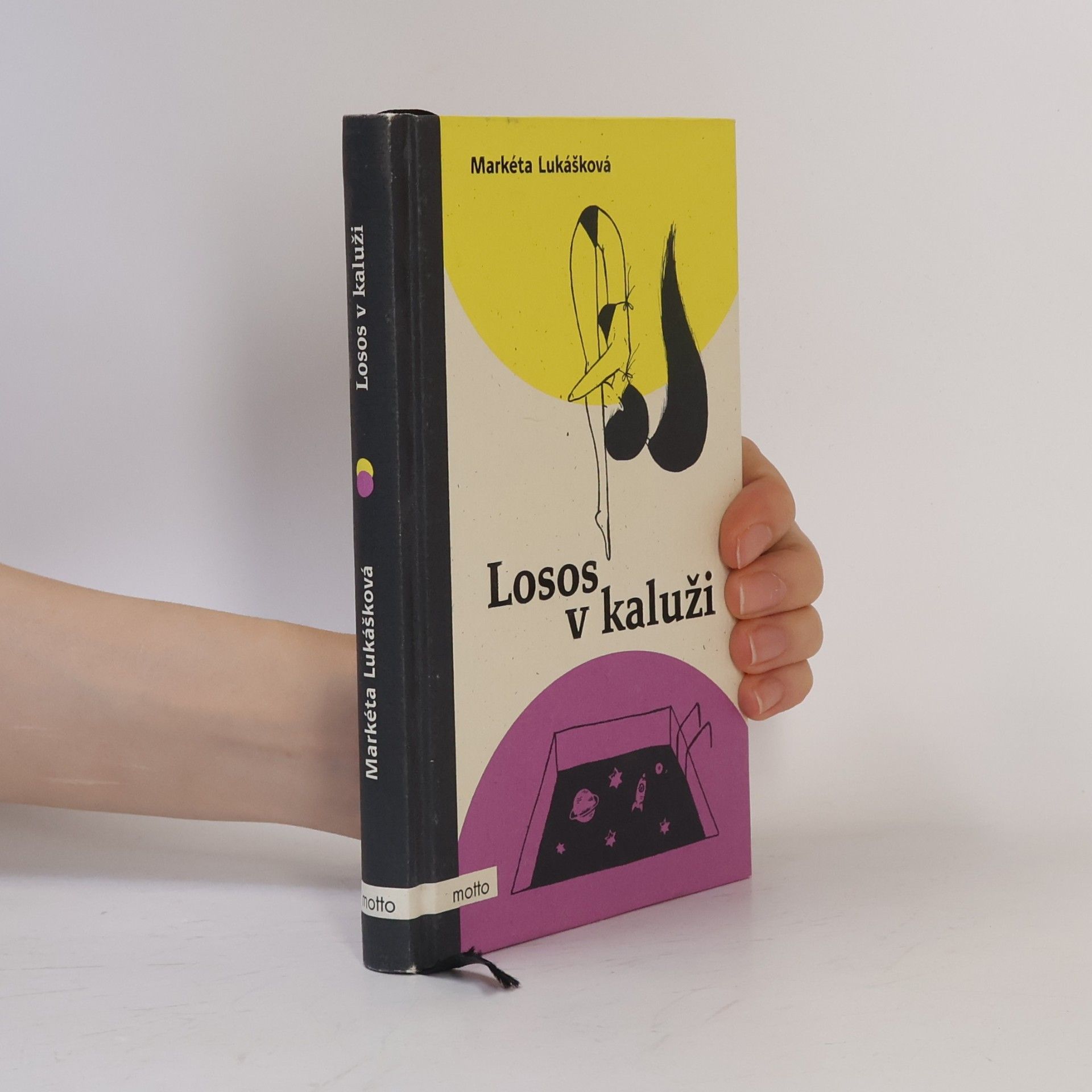 Markéta Lukášková Losos v kaluži