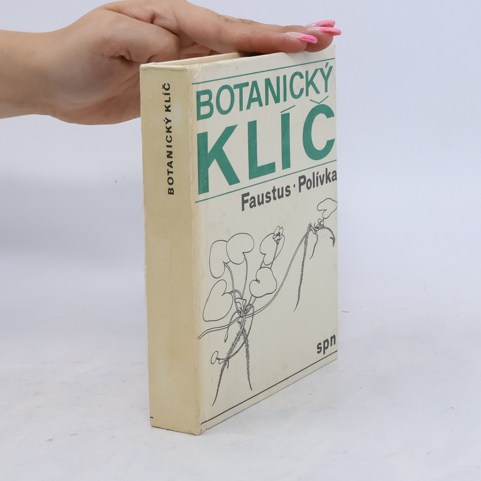 Luděk Faustus Botanický klíč