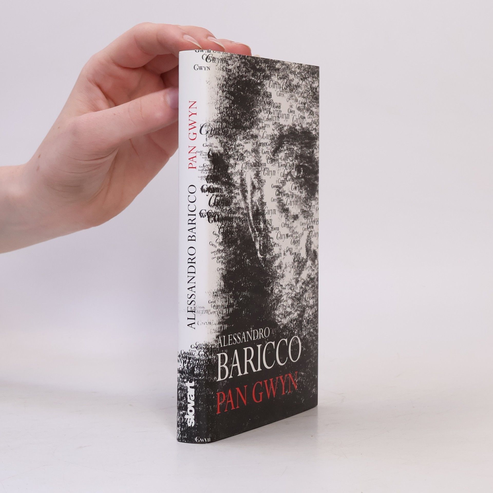 Alessandro Baricco Pan Gwyn